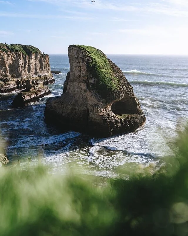 Who else appreciates the Sharks out there? I know @meshna does! 😉
Thanks for sharing the awesome shot of the 🦈! Decided to perform one last edit for the #ShootersFAA! Hope this all brightens up your day! Thanks for the opportunity @world.shooters @