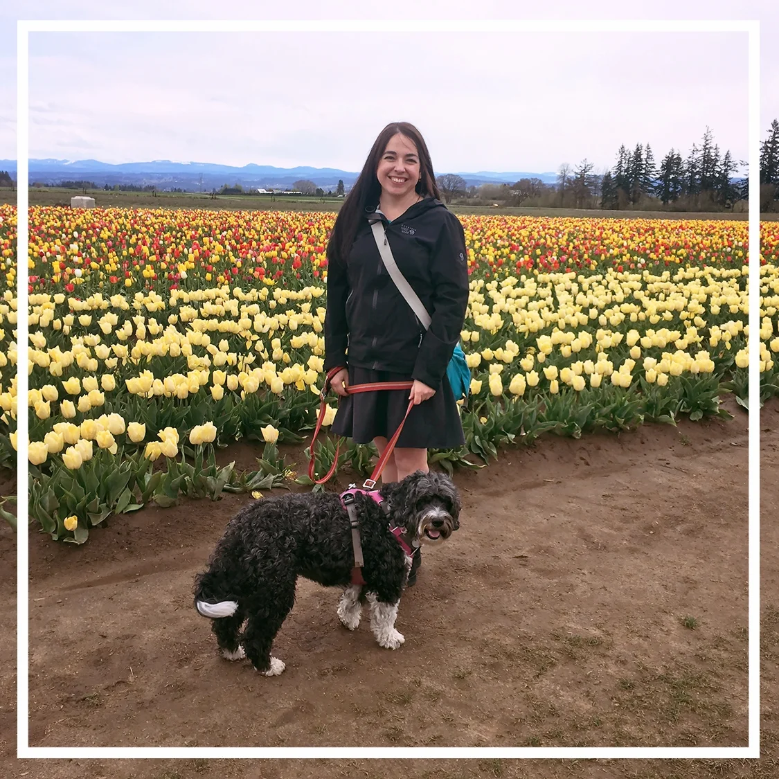 Nickie Bournias, creative director When friends visit, where do you take them first? The first place we take visitors is Council Crest Park, the highest point in the city. It’s a five-mountain view on a clear day and also doubles as an off-leash dog park. A win-win. (Hint: Stand on the stone circle at the top and you can hear your voice echo. A big hit with the kiddos.) What’s the most “Portland” thing about Portland? Seeing the entire city stream outside on a sunny day … no matter the season. In your mind, what’s a perfect day in the city? Start off at either an off-leash dog park (Chimney Park in North Portland) or a dog-friendly swimming beach (the Sellwood Park in Southeast Portland); outdoor lunch with friends at dog-friendly Ecliptic Brewing; an afternoon hike through Forest Park and then a slice of pizza and a movie at an independent movie theater, such as the St. Johns Twin Cinema & Pub. You’re planning a night out — what do you do? Grab a copy of Willamette Week and see what’s playing around town. Between a dozen or so music venues and independent theaters, there’s something to interest you. Or a more active approach to the night, is to grab a BIKETOWN bike and plan a multi-brewery tour of the city. Where do you go for a day trip out of Portland? It usually involves hiking and a post-hike beer. Our go-to in the spring is the Mosier Plateau Trail for wildflowers; for summer, it’s Tamanawas Falls for its shaded trail along the creek. Cascade Locks is a great stop on the way back to Portland to sip a Dry Creek IPA at Thunder Island Brewing’s dog-friendly patio.
