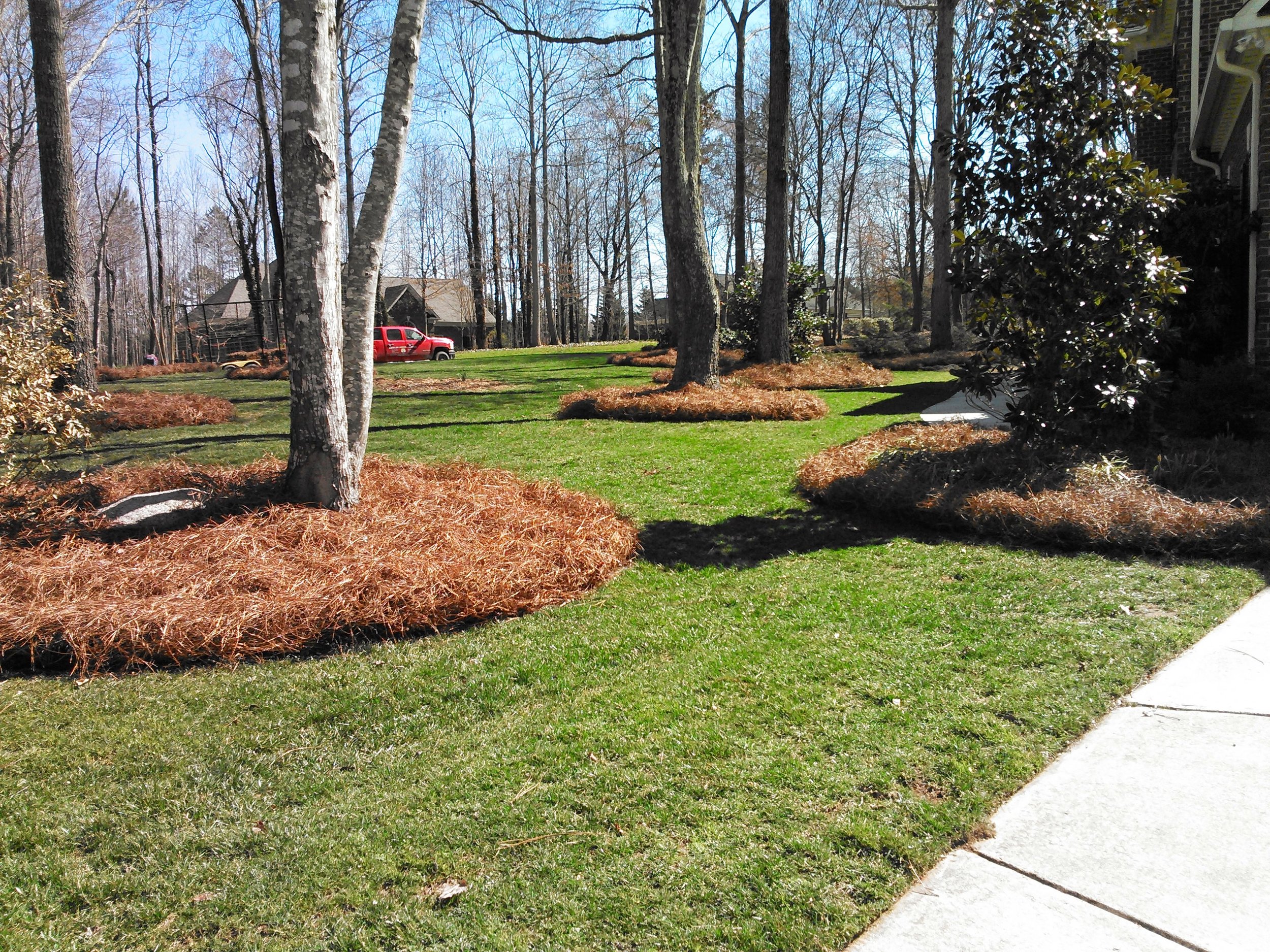 Pine Straw (bales) - Bzak Landscaping