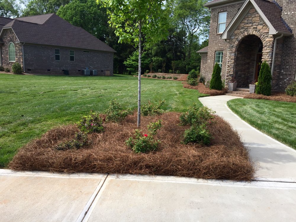 pine-straw-mulch-corner (1).jpeg