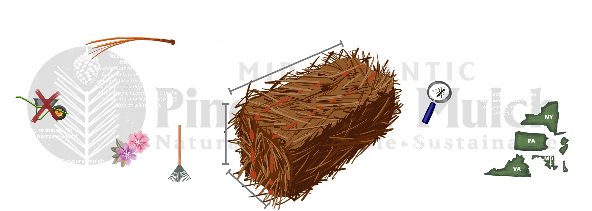 MidAtlantic Pine Straw Mulch