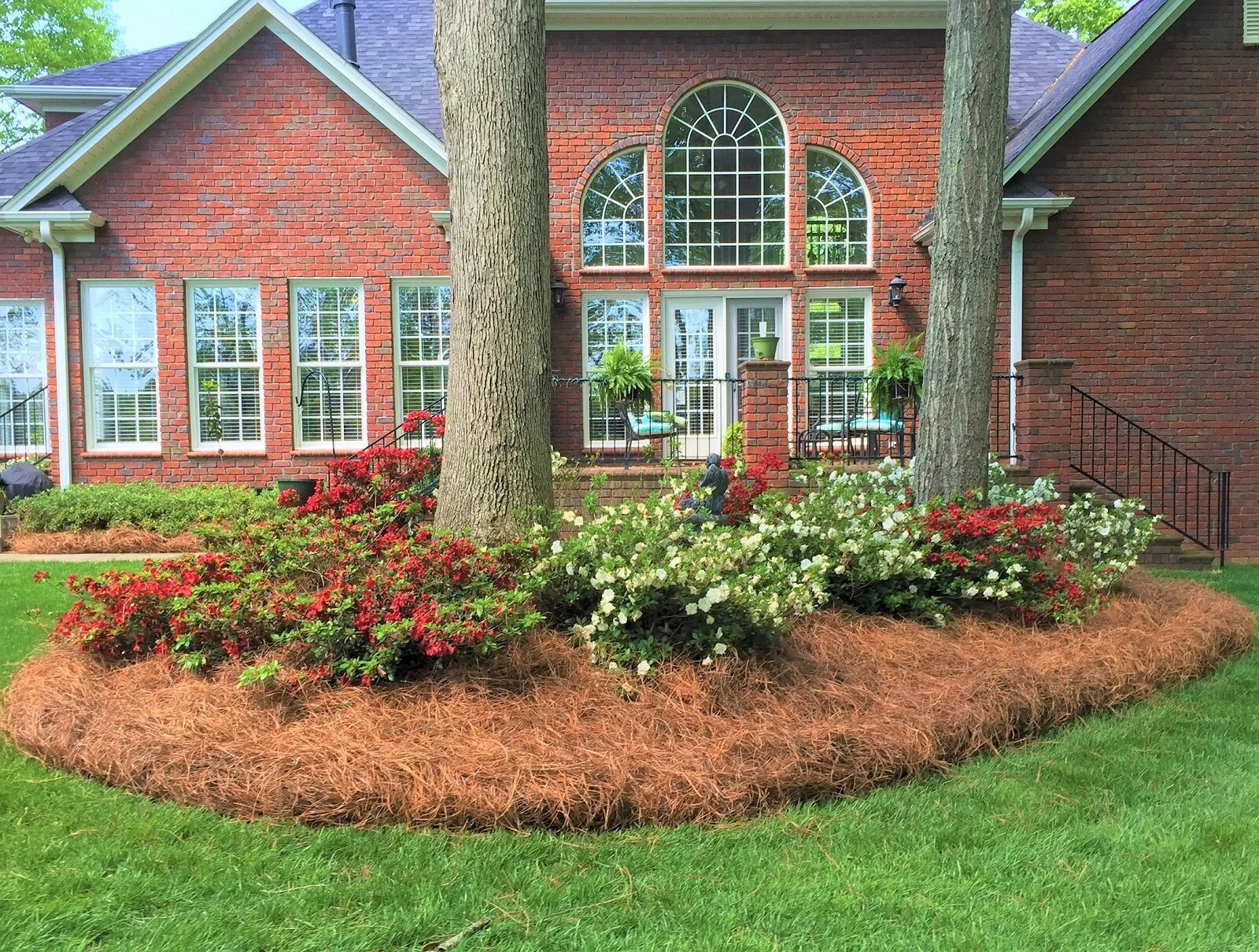 MidAtlantic Pine Straw Mulch