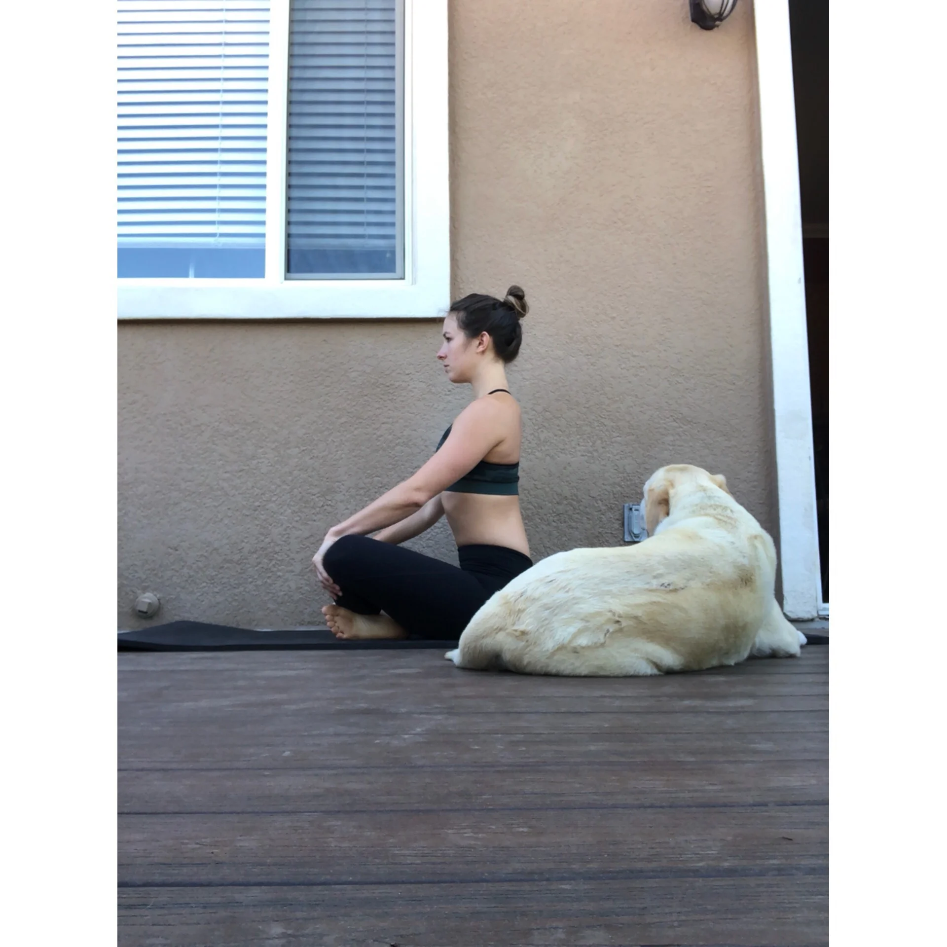 Sleep + Brain Function