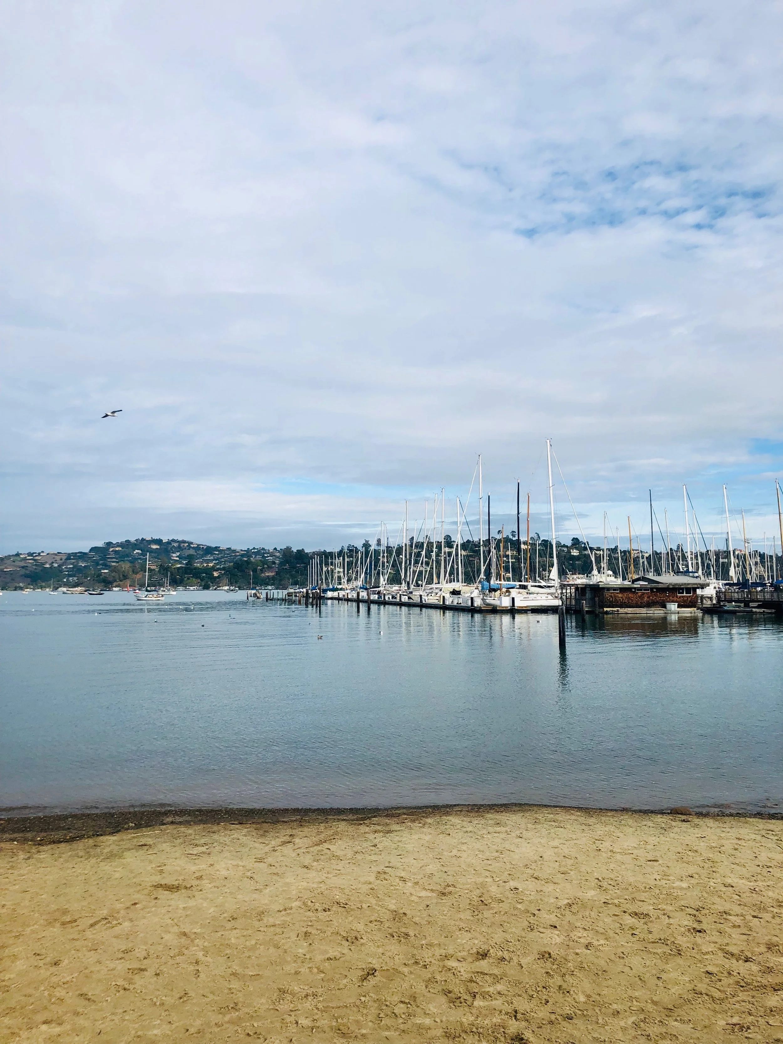 Alternative Pain Management