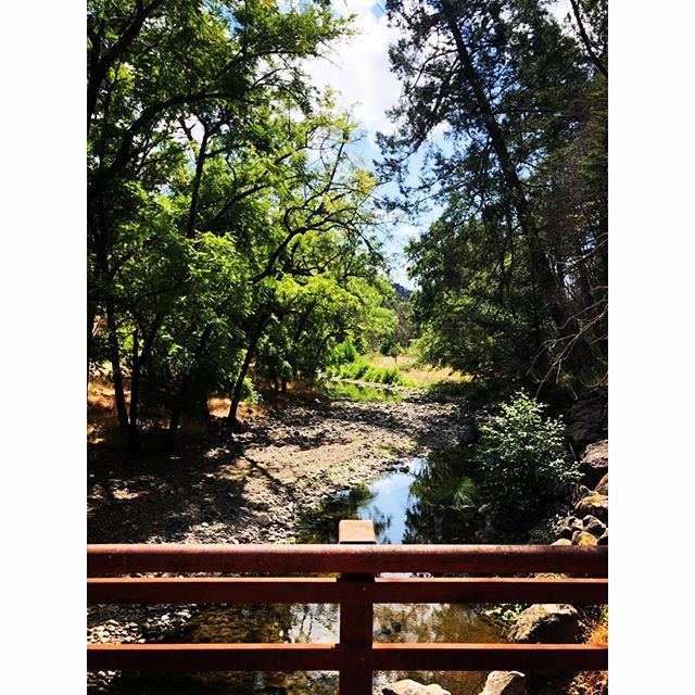 Explored a new Regional Park in Sonoma County // Mark West Regional Park and Preserve. &bull;&bull;
Not only are these spaces accessible to everyone, but parks decrease health care cost and loss of productivity costs by $17.5 million dollars a year i