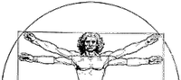 Anatomical man cropped better.png