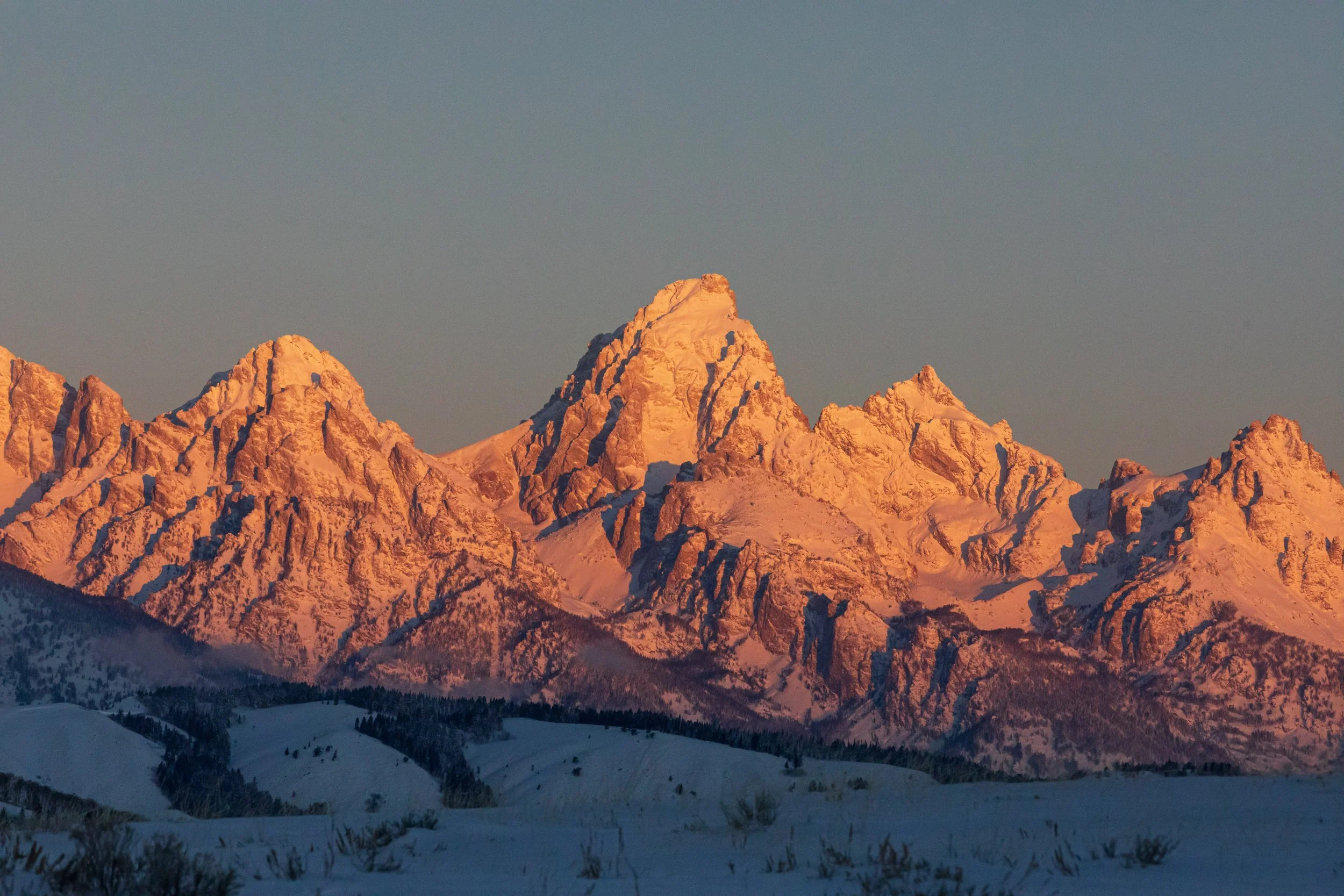 Refuge_Dec22-3947.jpg