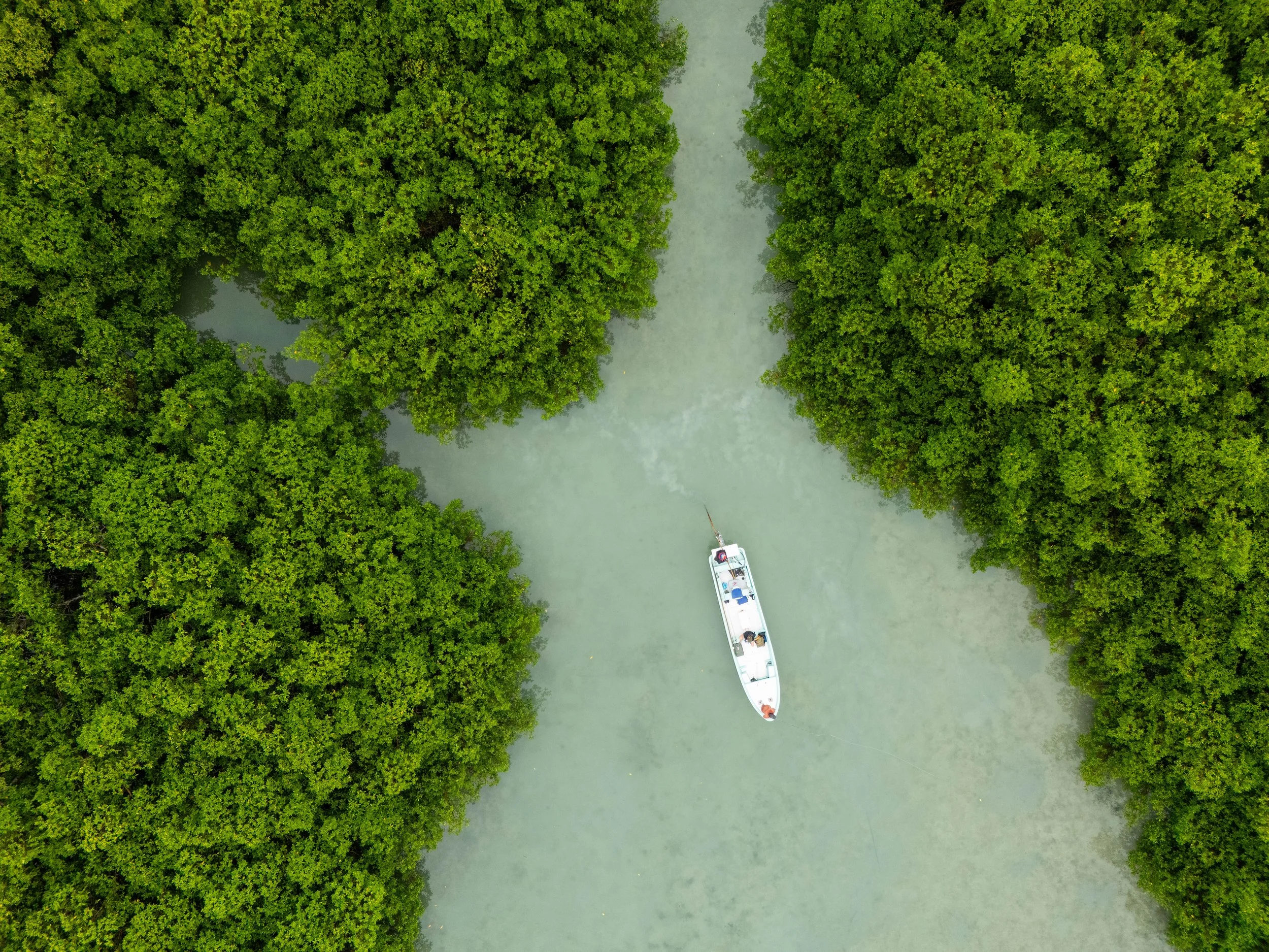 @SofiaDeWolfe-BZE-Flyfish--2.jpg