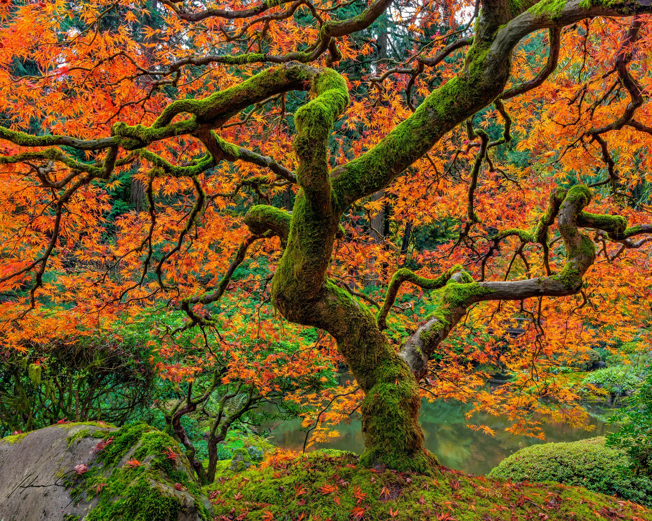 “Wabi Sabi” Portland Japanese Garden, Oregon