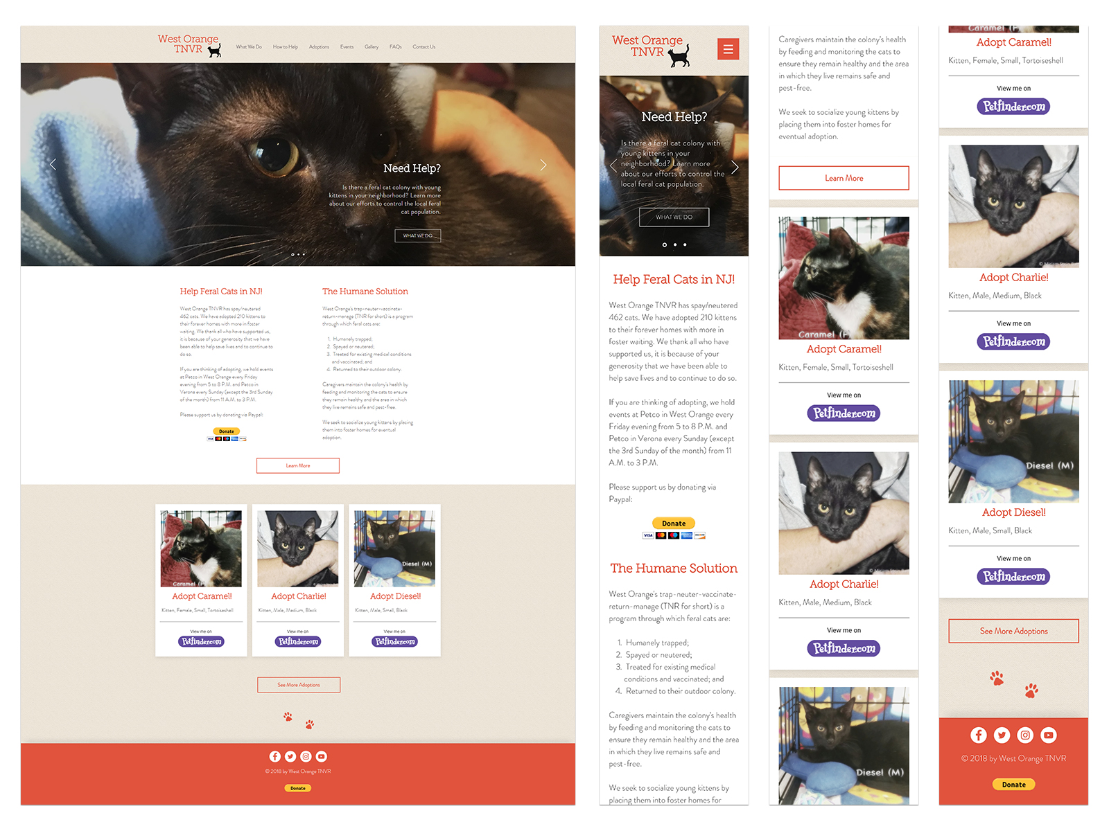 Caramel kitten website