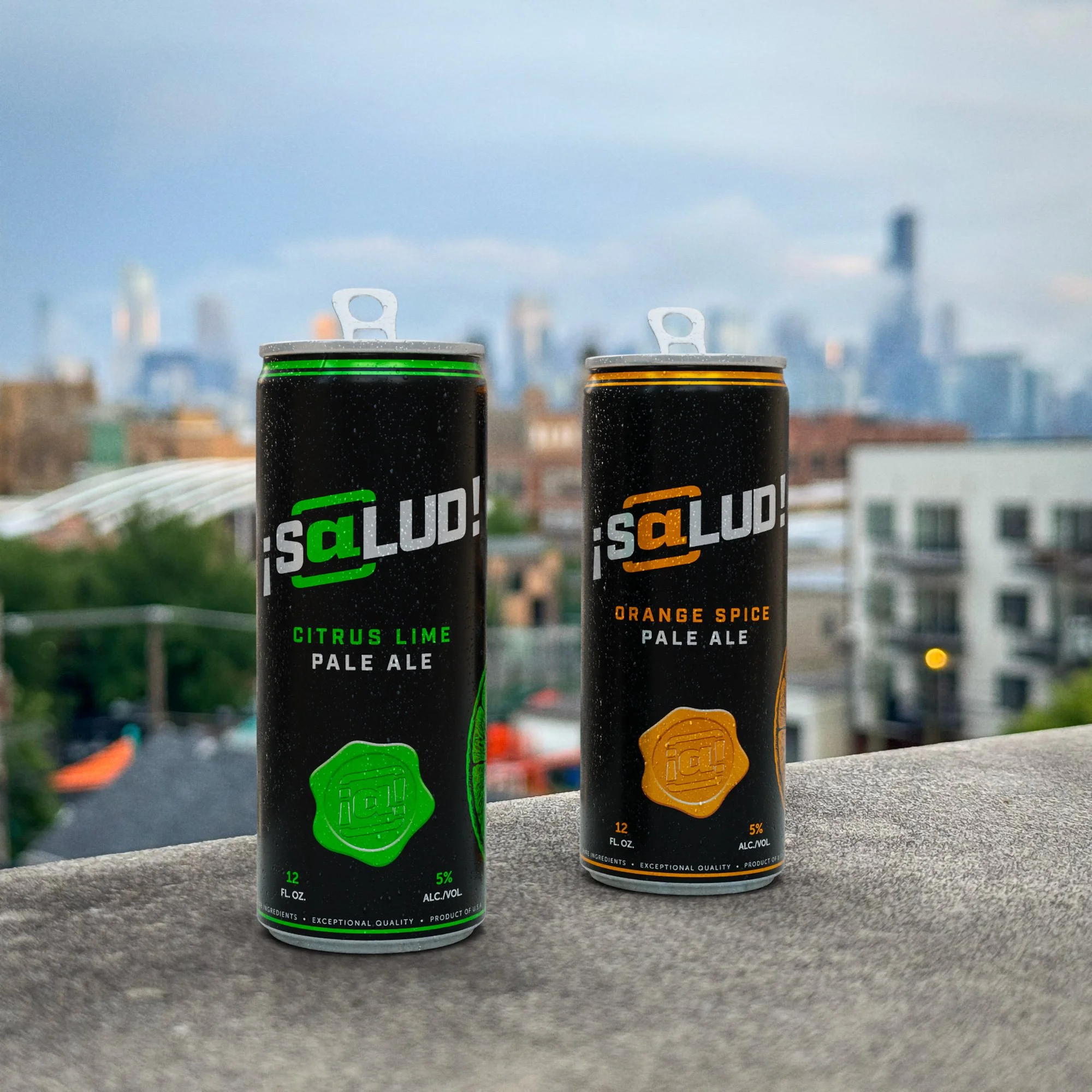 salud-chicago-rooftop-02.jpg