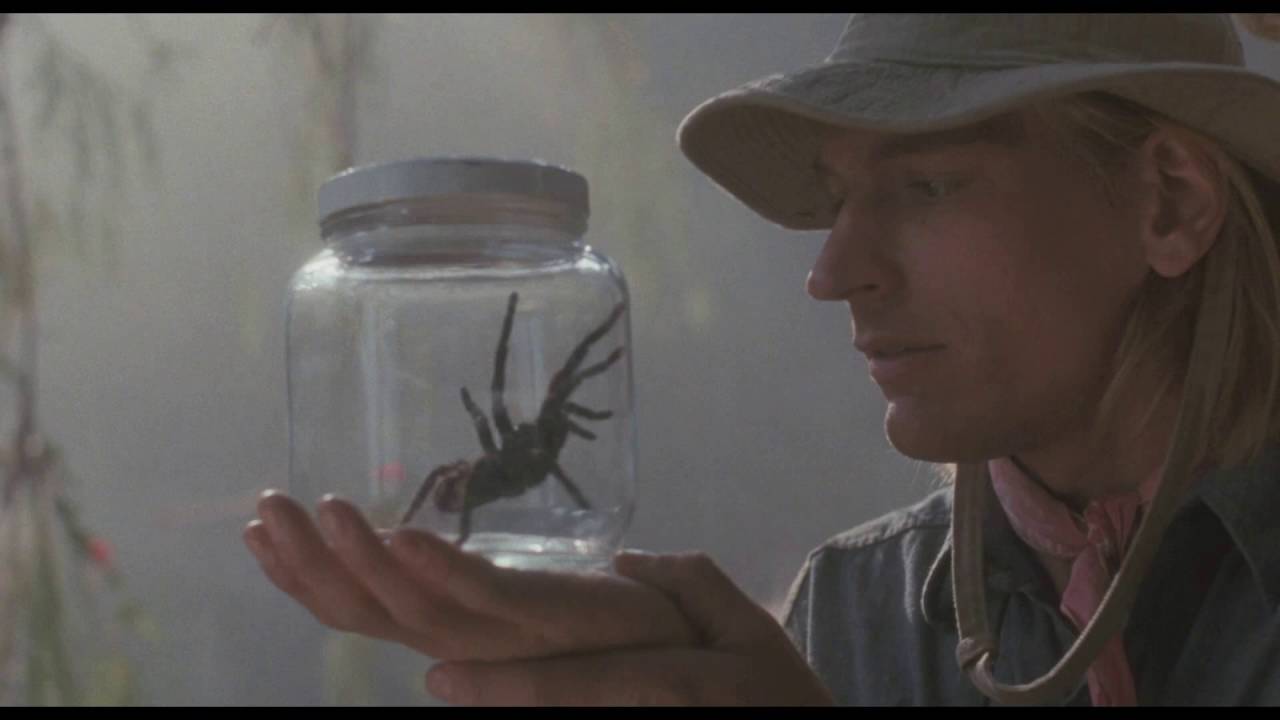 arachnophobia1.jpg