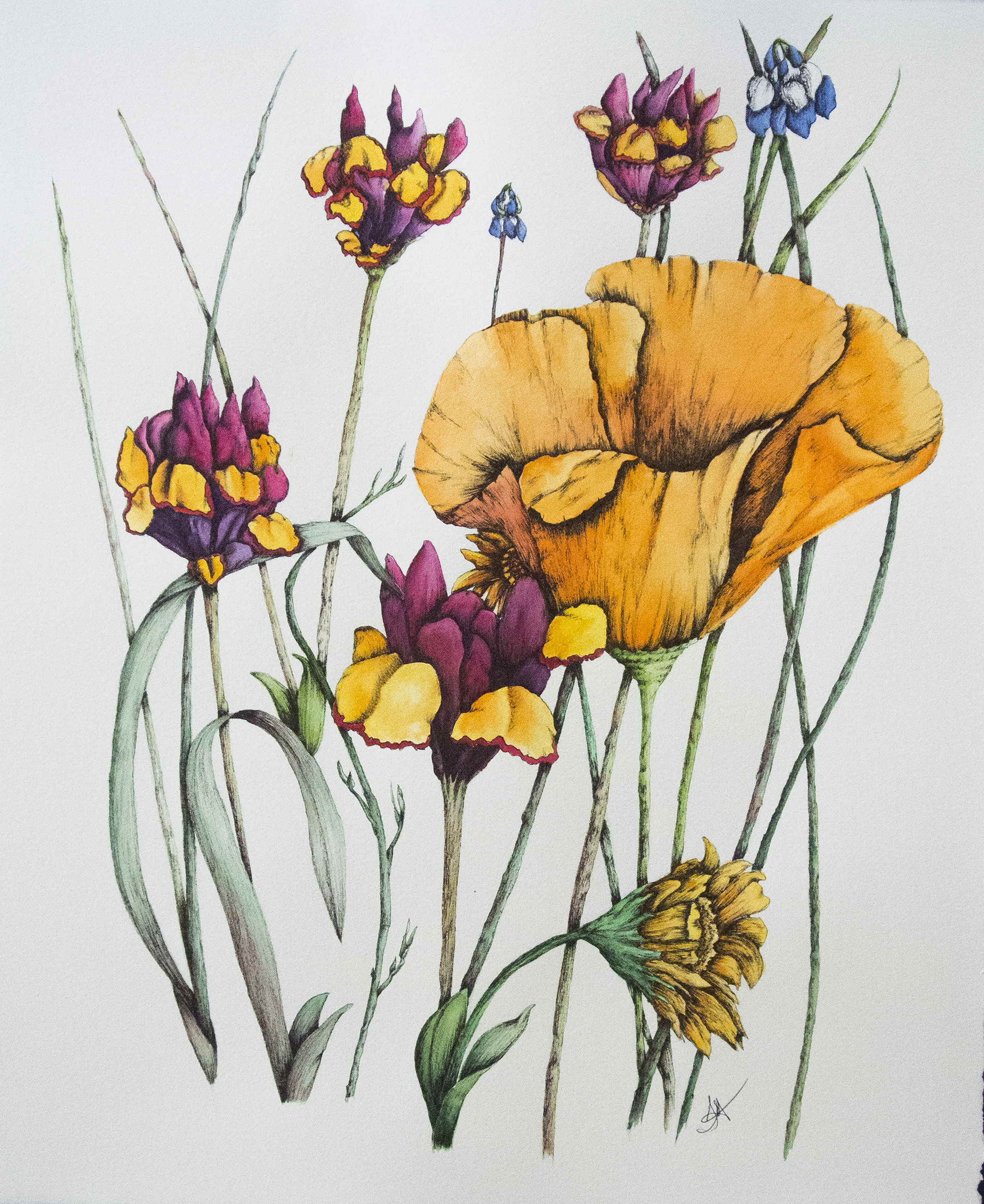 “Wildflowers