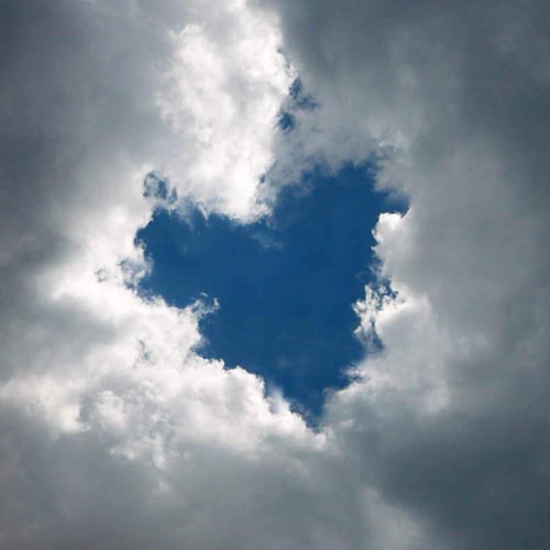 Nature Heart 6.jpg