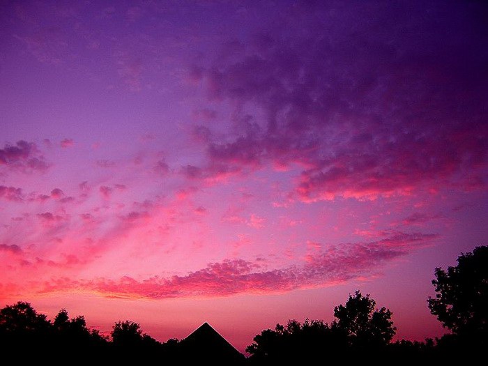 Nature Heart 10.jpg