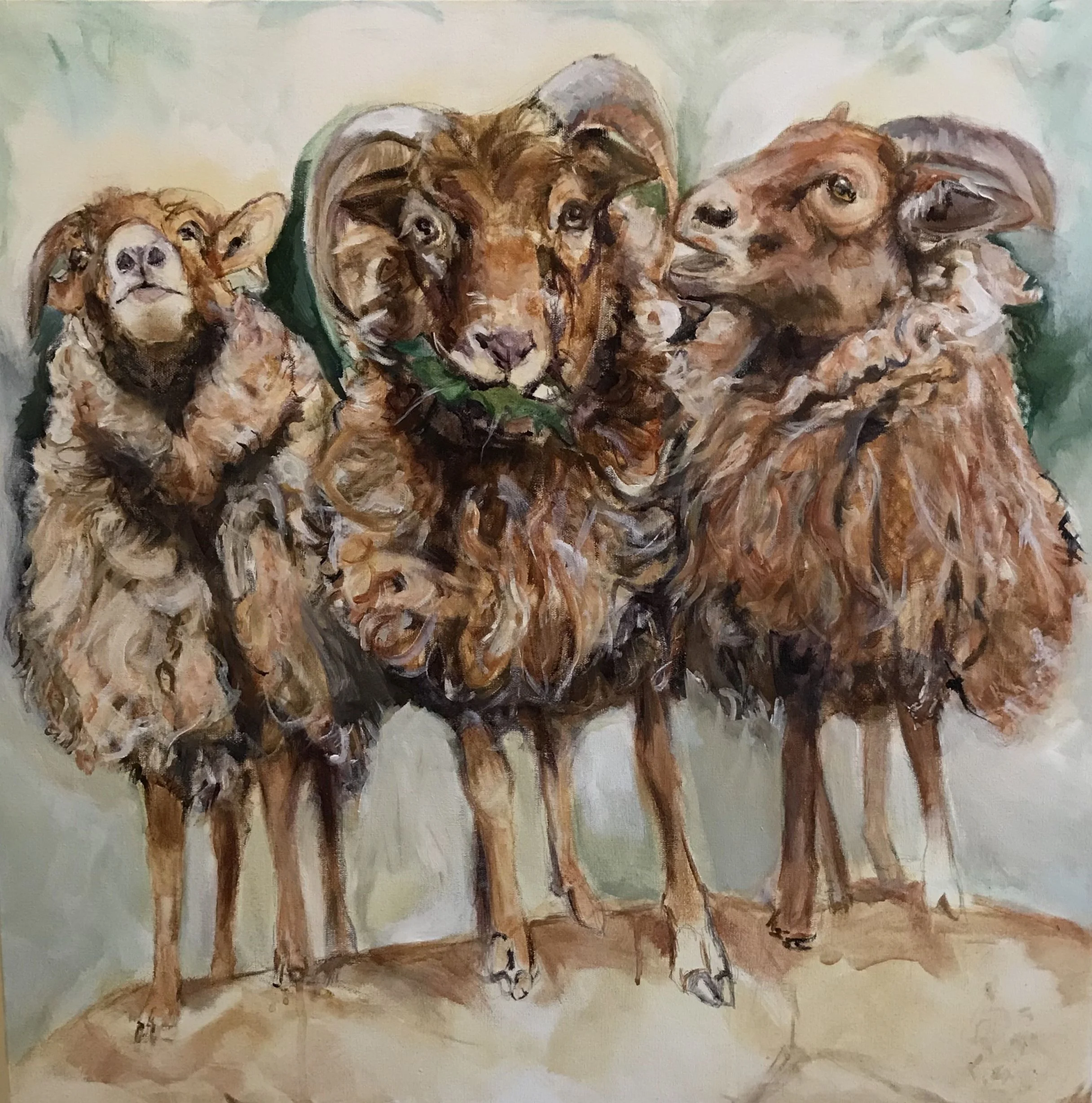 Molly, Sammy and Cinnamon Girl