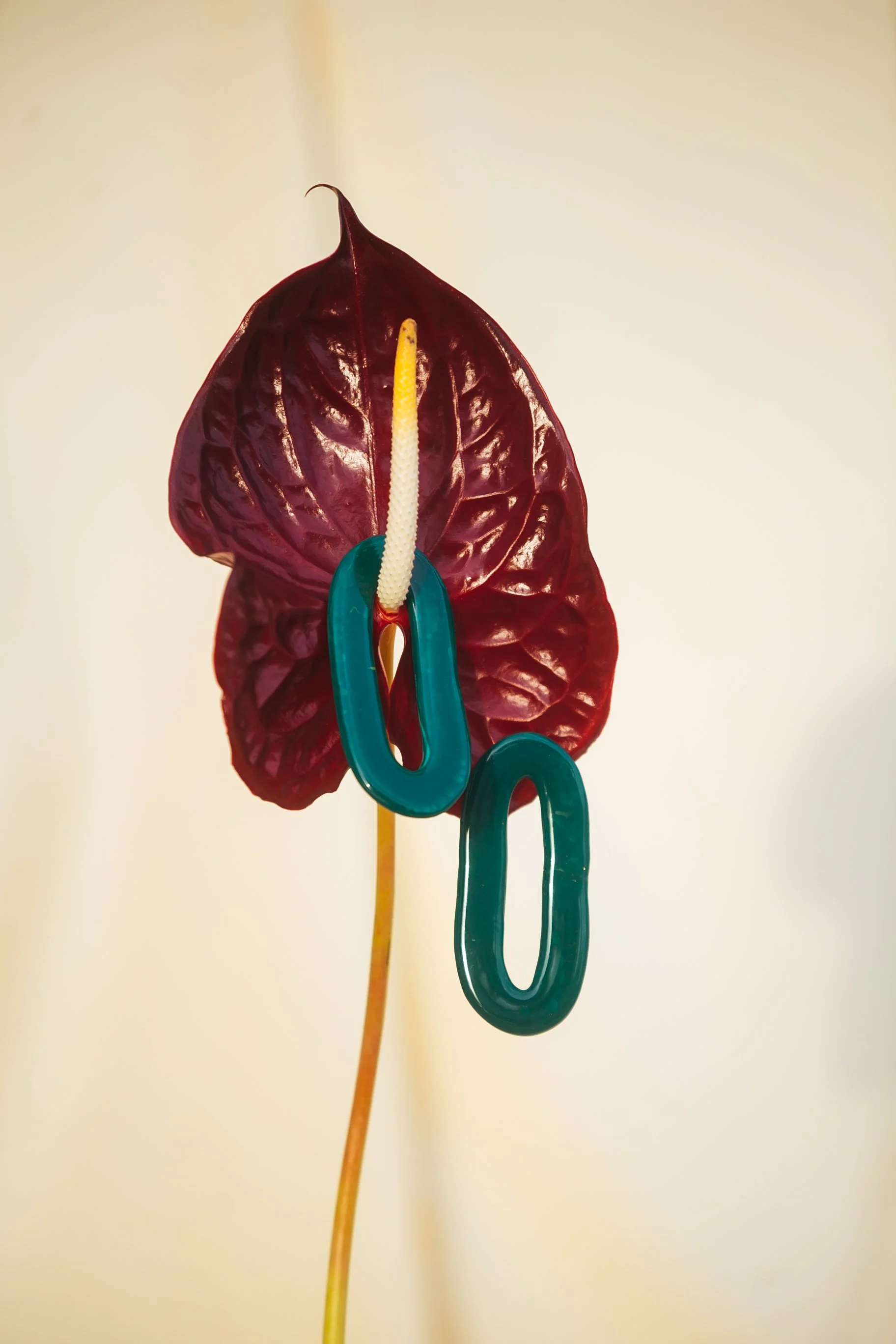  Creative direction and set design for Ekow and Ama Earrings 