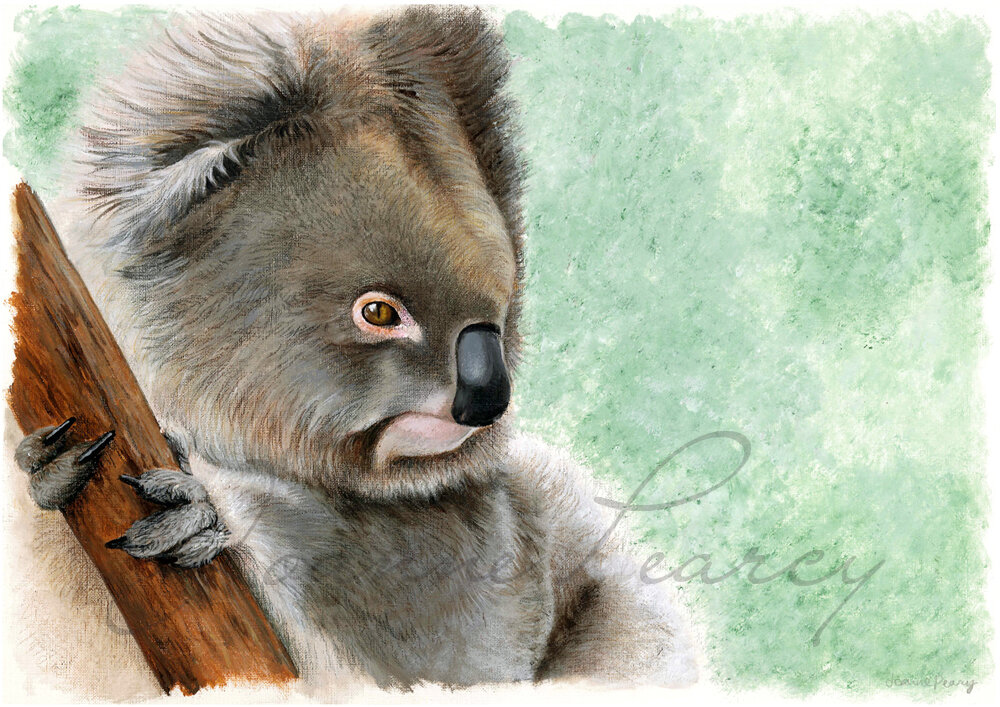 wildlifepainting_koalagreen.jpg