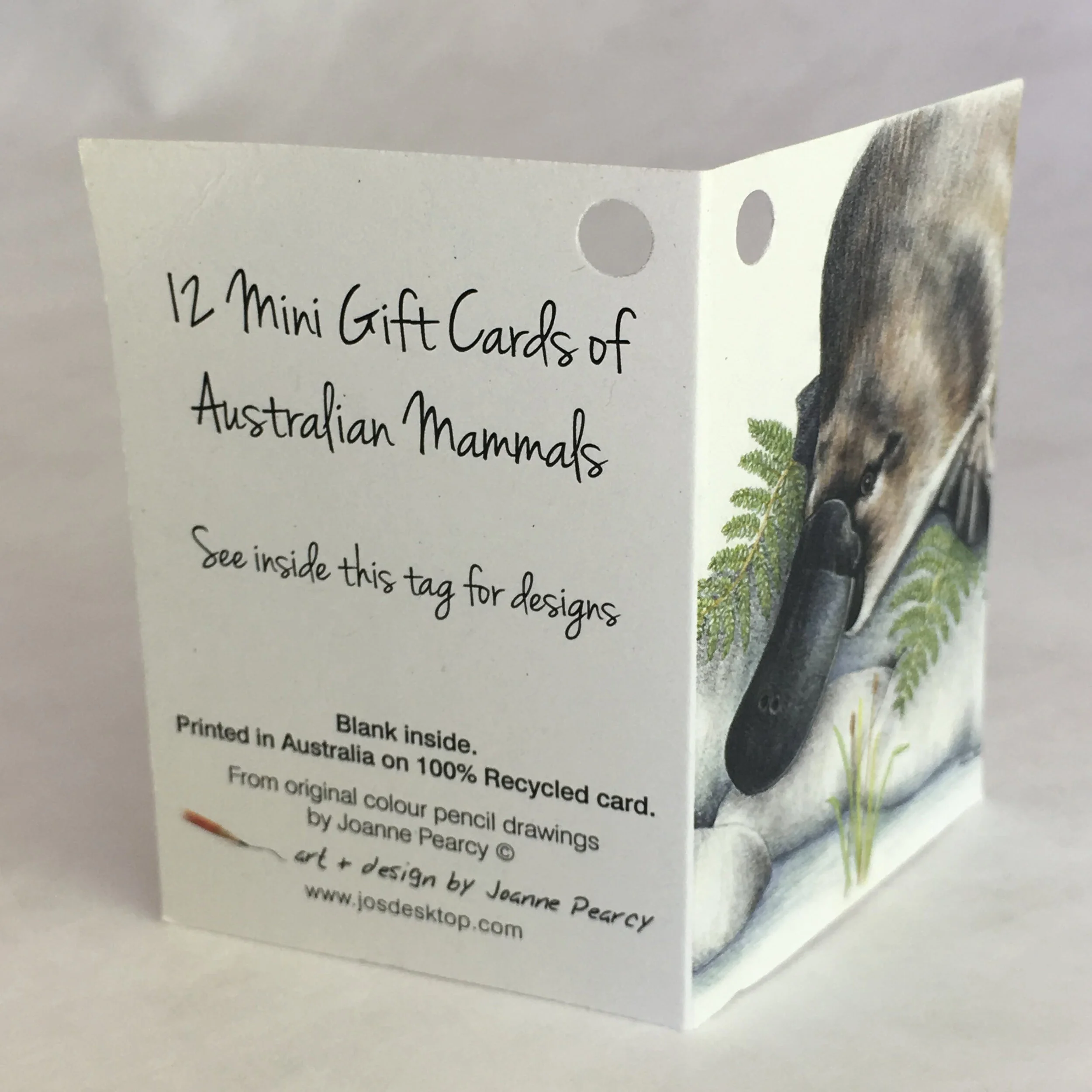 giftcards_animals set cards only_tagfront.jpg