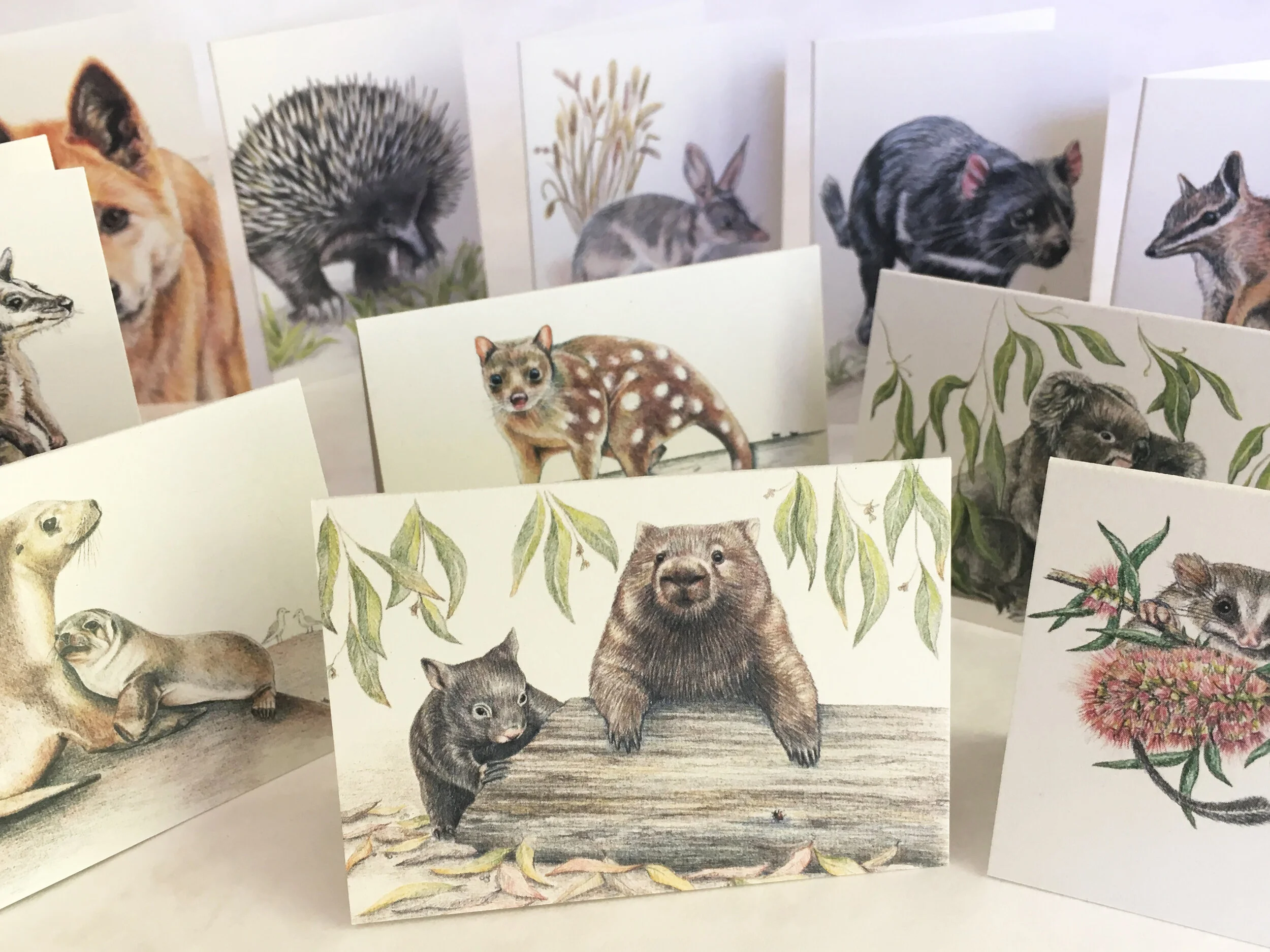 giftcards_animals set cards only.jpg