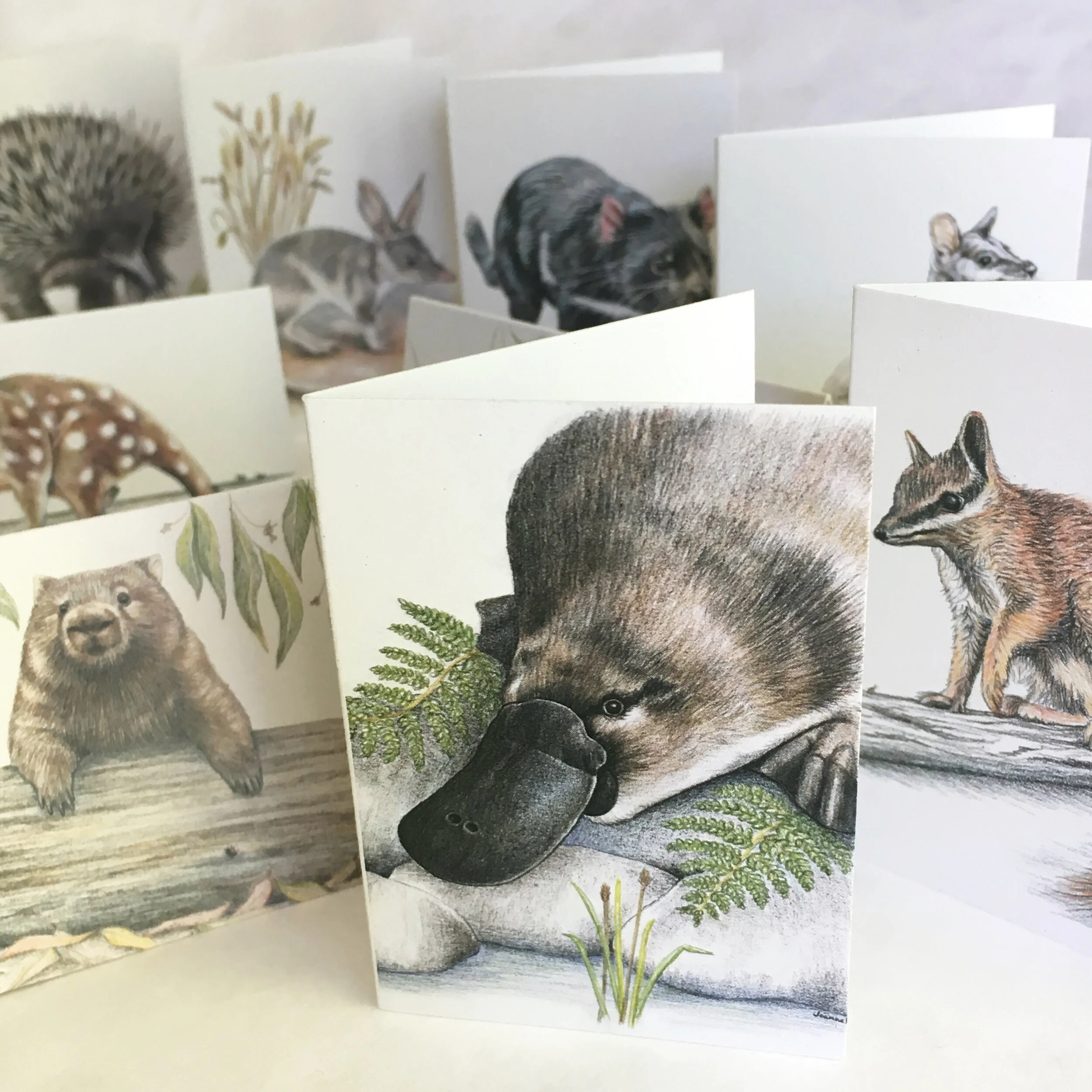 giftcards_animals set cards only1.jpg