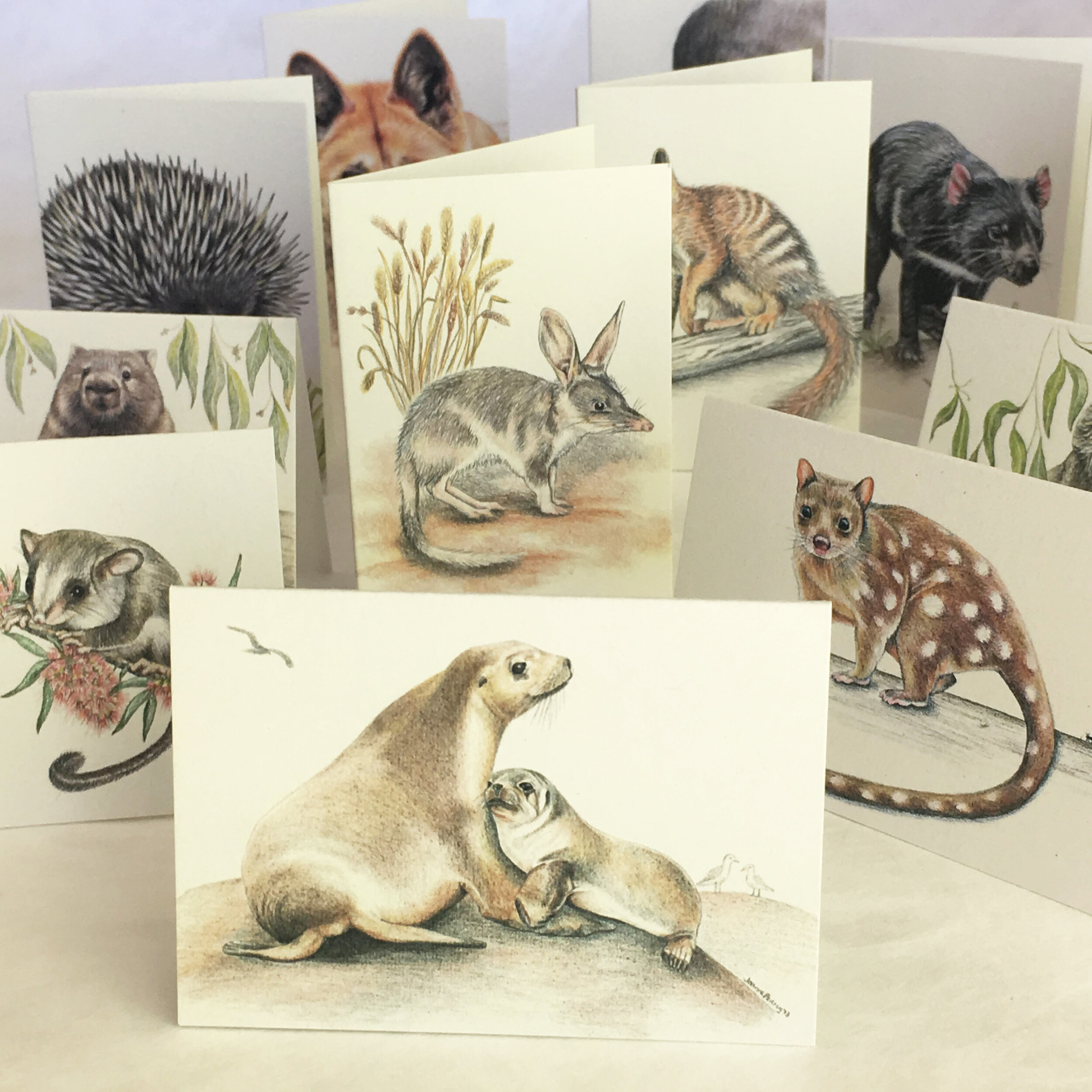 giftcards_animals set cards only2.jpg