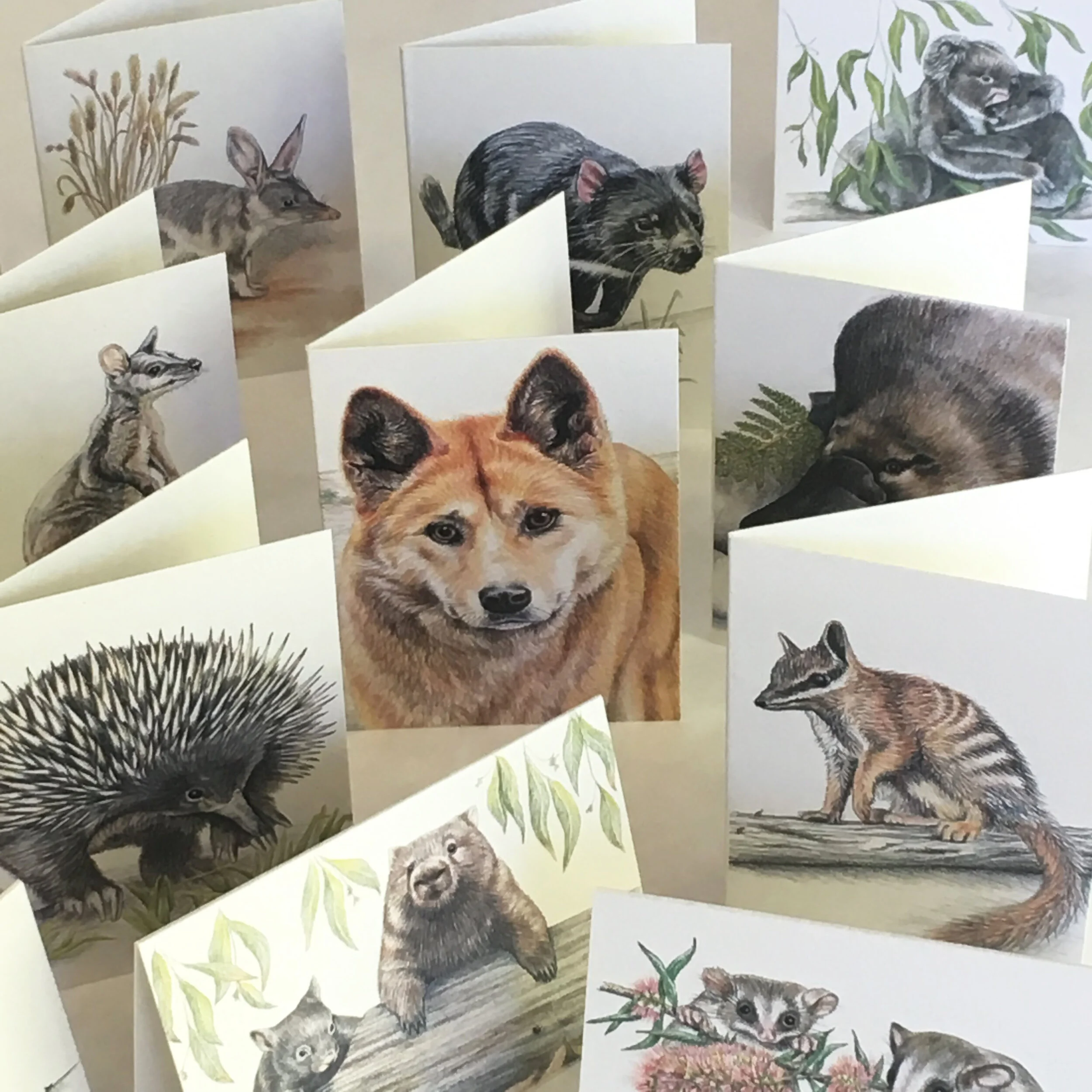 giftcards_animals set cards only3.jpg