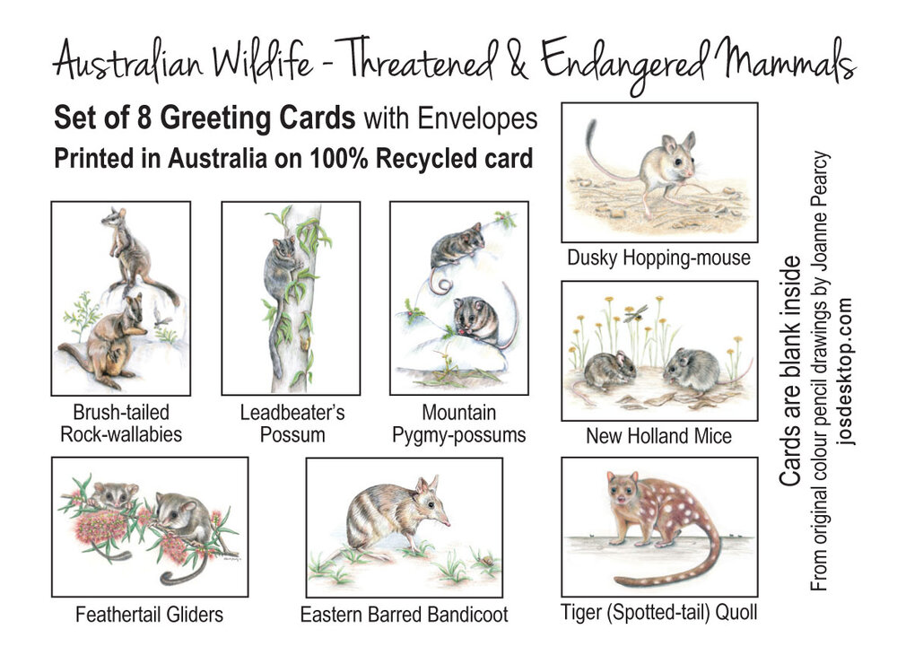 Australian THREATENED ANIMALS gift BOX of 8 greeting cards - Endangered  wildlife, colour illustrations — Jo's Desktop