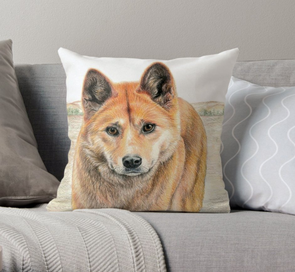 cushion_Dingo cushion on couch.jpg