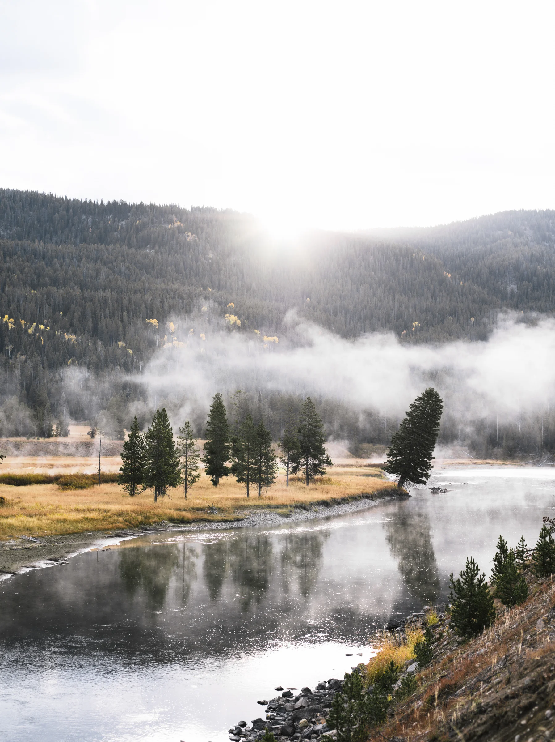 miknayr-SS-Fall-0011.jpg