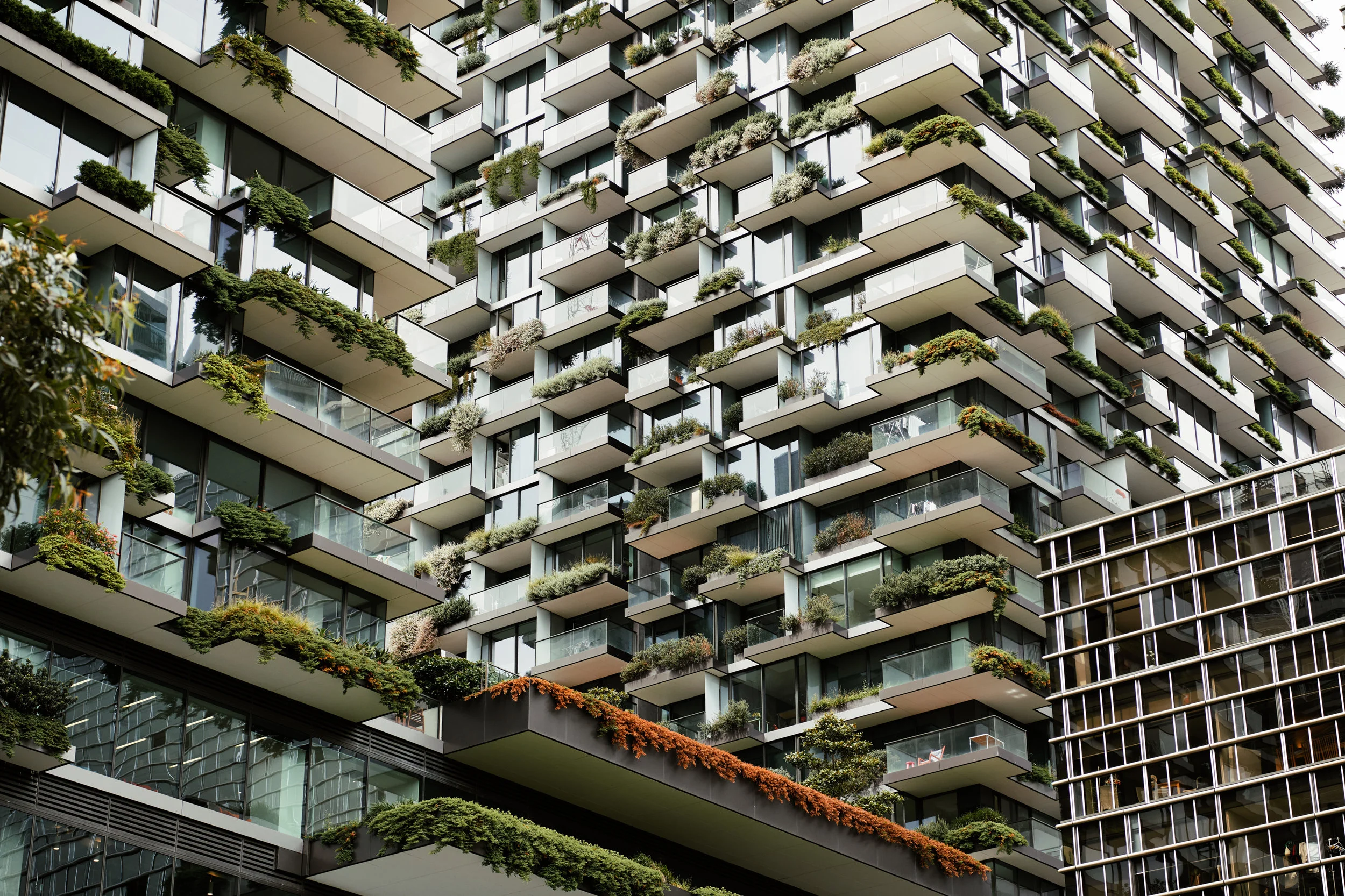 111817-Airbnb_Sydney_Press_Tour-Joe_Gebbia-0200 copy.jpg