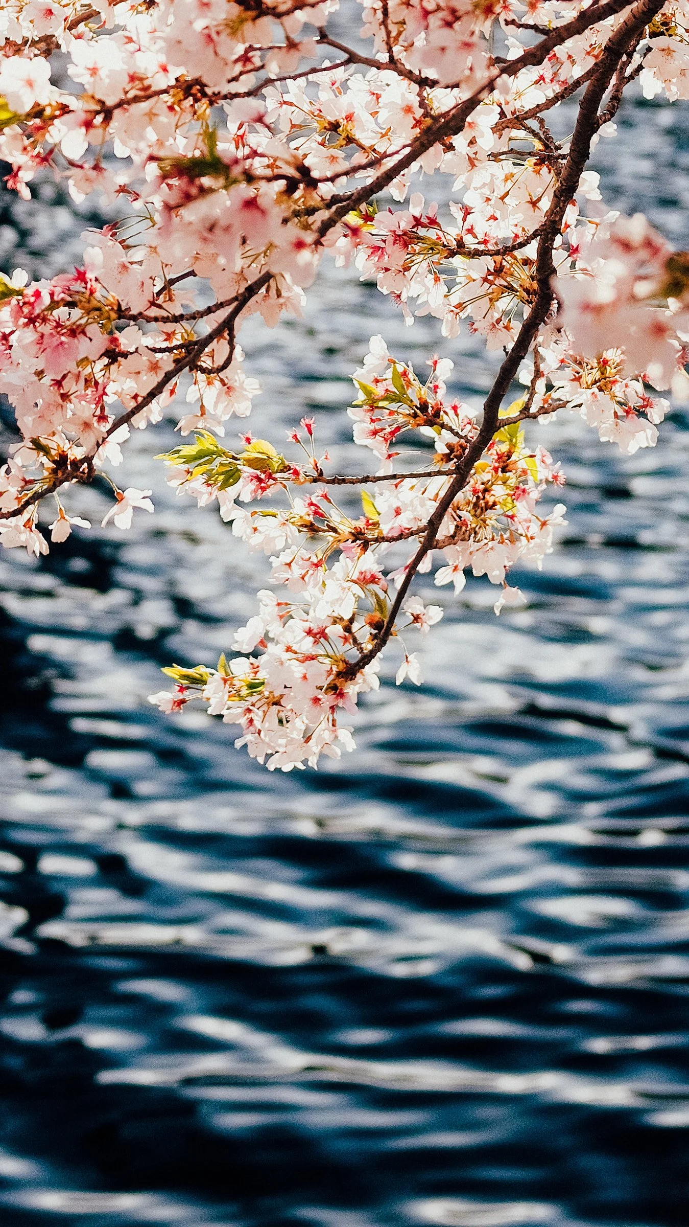 IG_IMG_6698.jpg