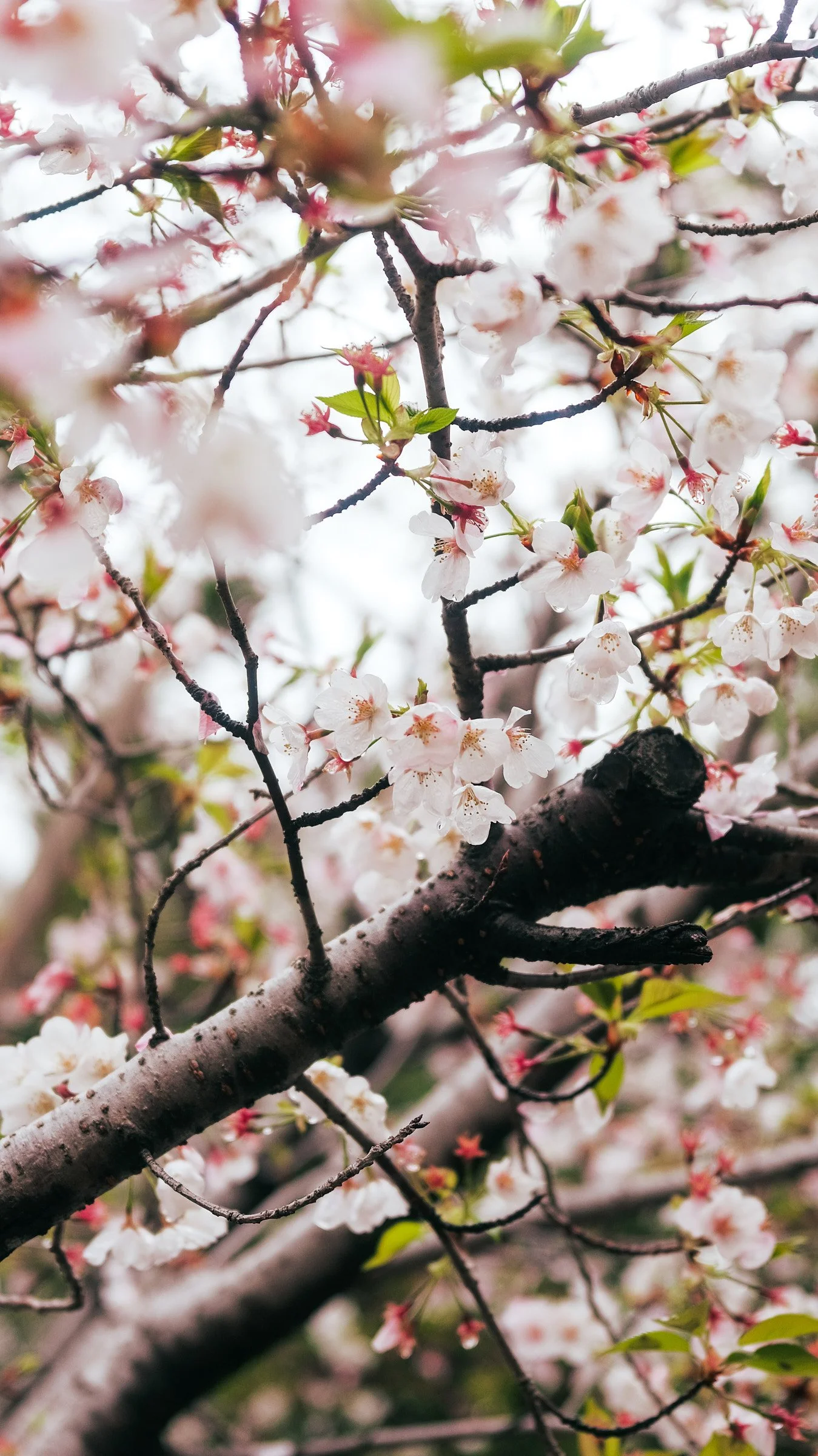 IG_IMG_7527.jpg