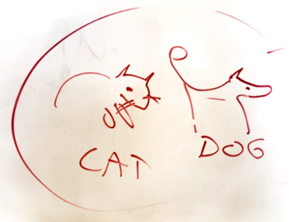 cat-dog.png
