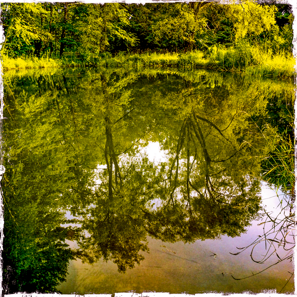 Barnett Hill pond, Alstead NH