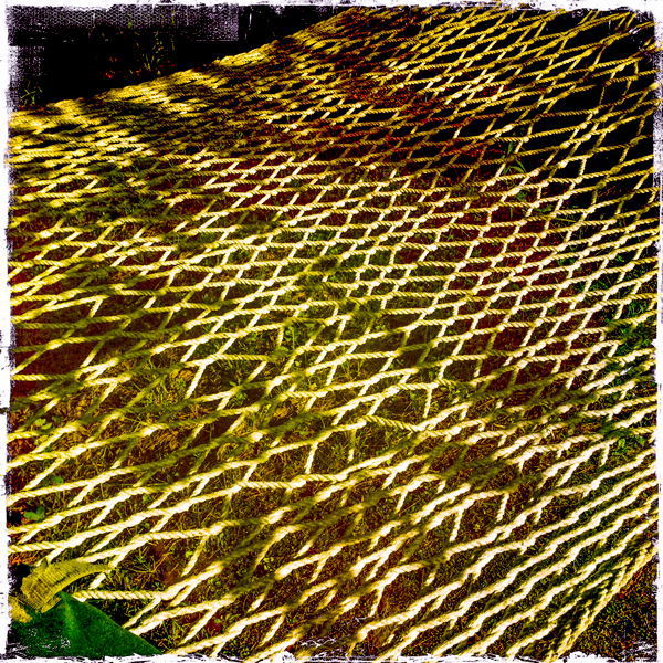 The interdependency of hammock threads. Barnett hill, Alstead NH