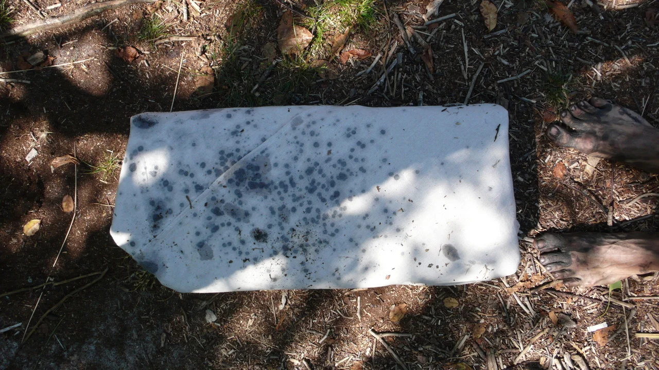 Ashes to Ashes