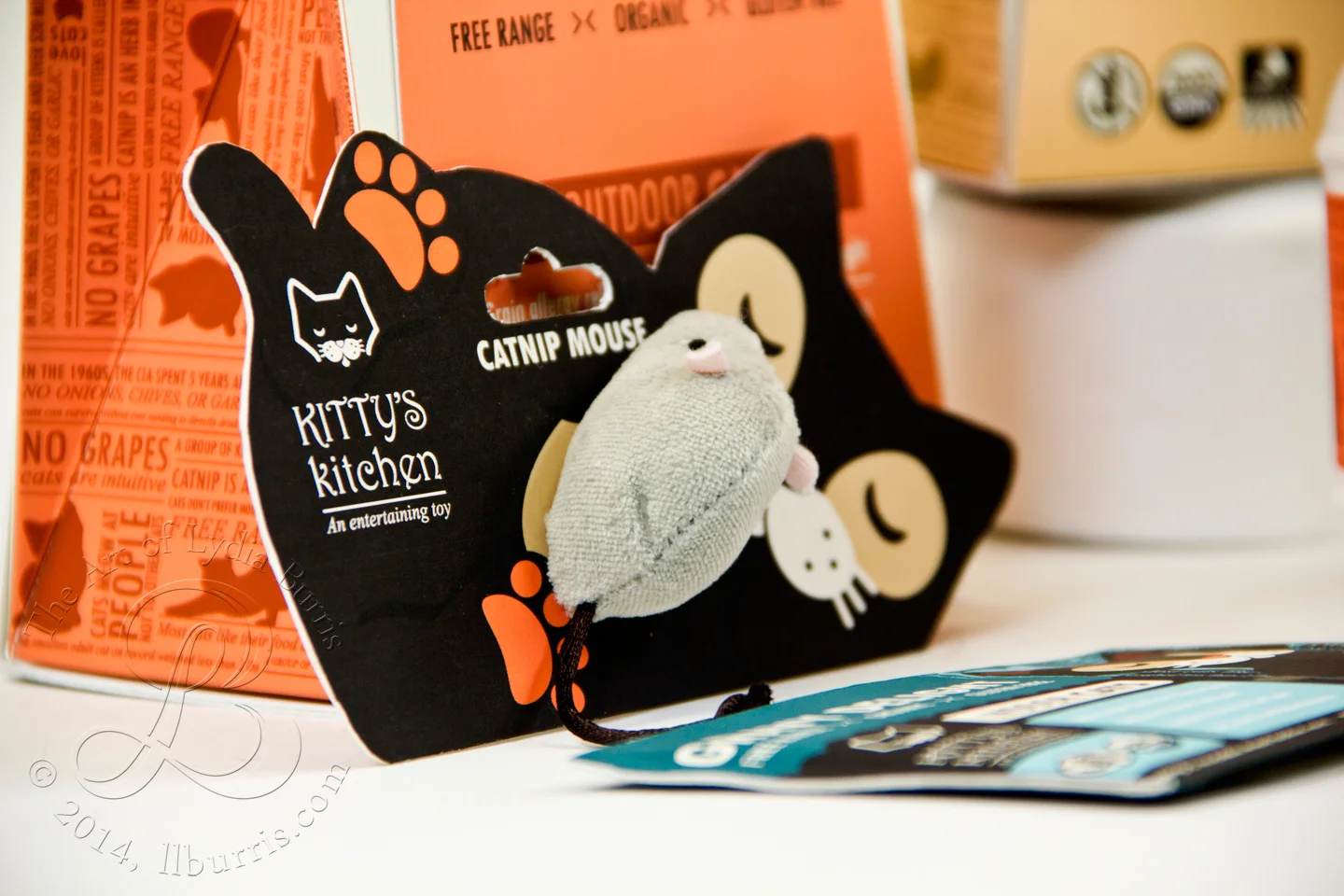 Kitty's Kitchen 5.jpeg