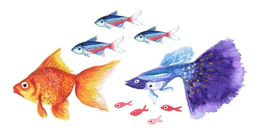 Fishies painted with gouache