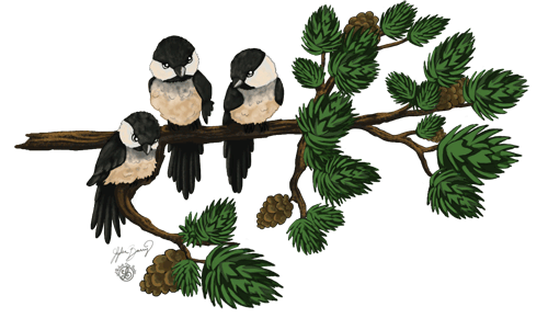 Three-Chickadees-animated.gif