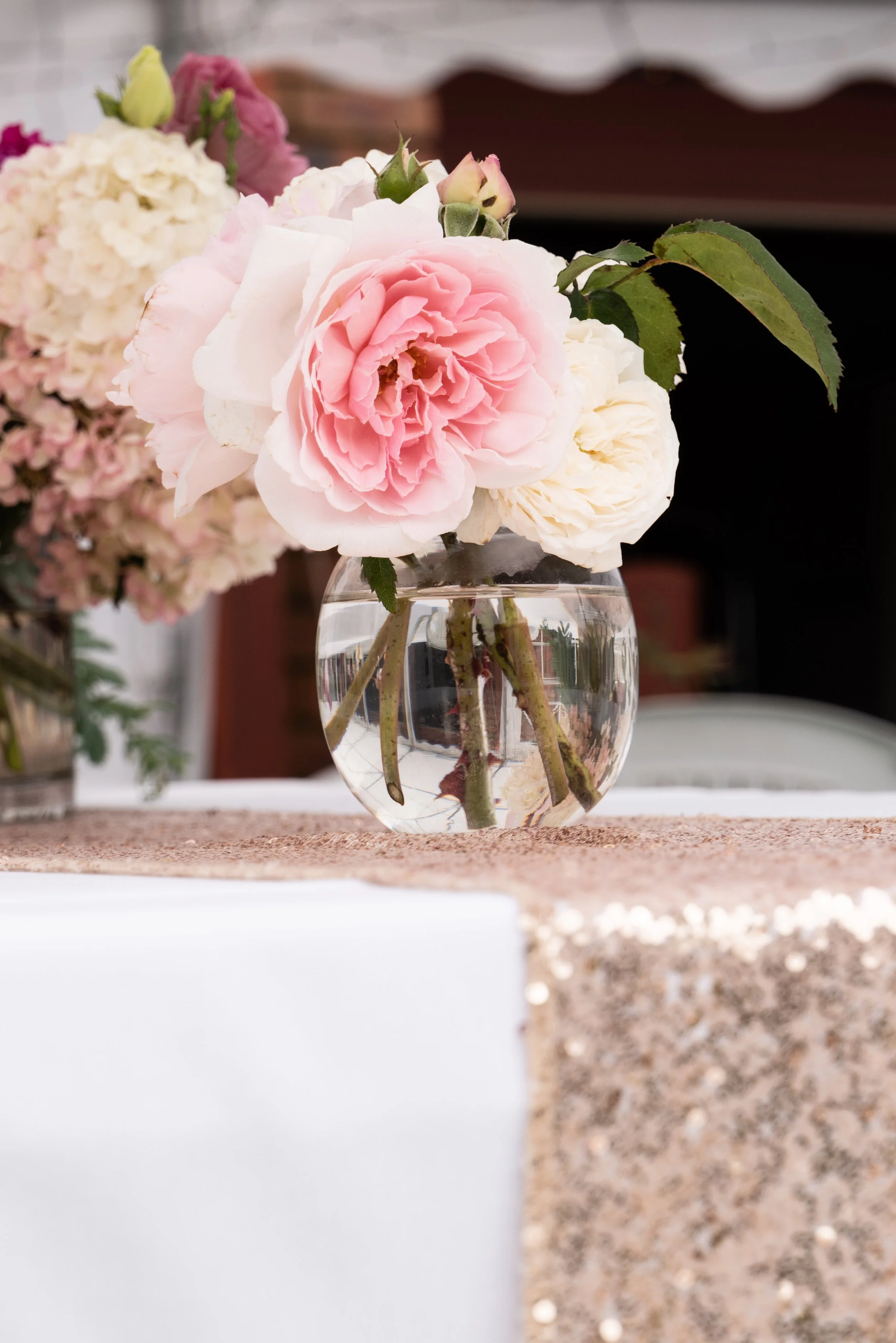 George and Shiv web-66.jpg