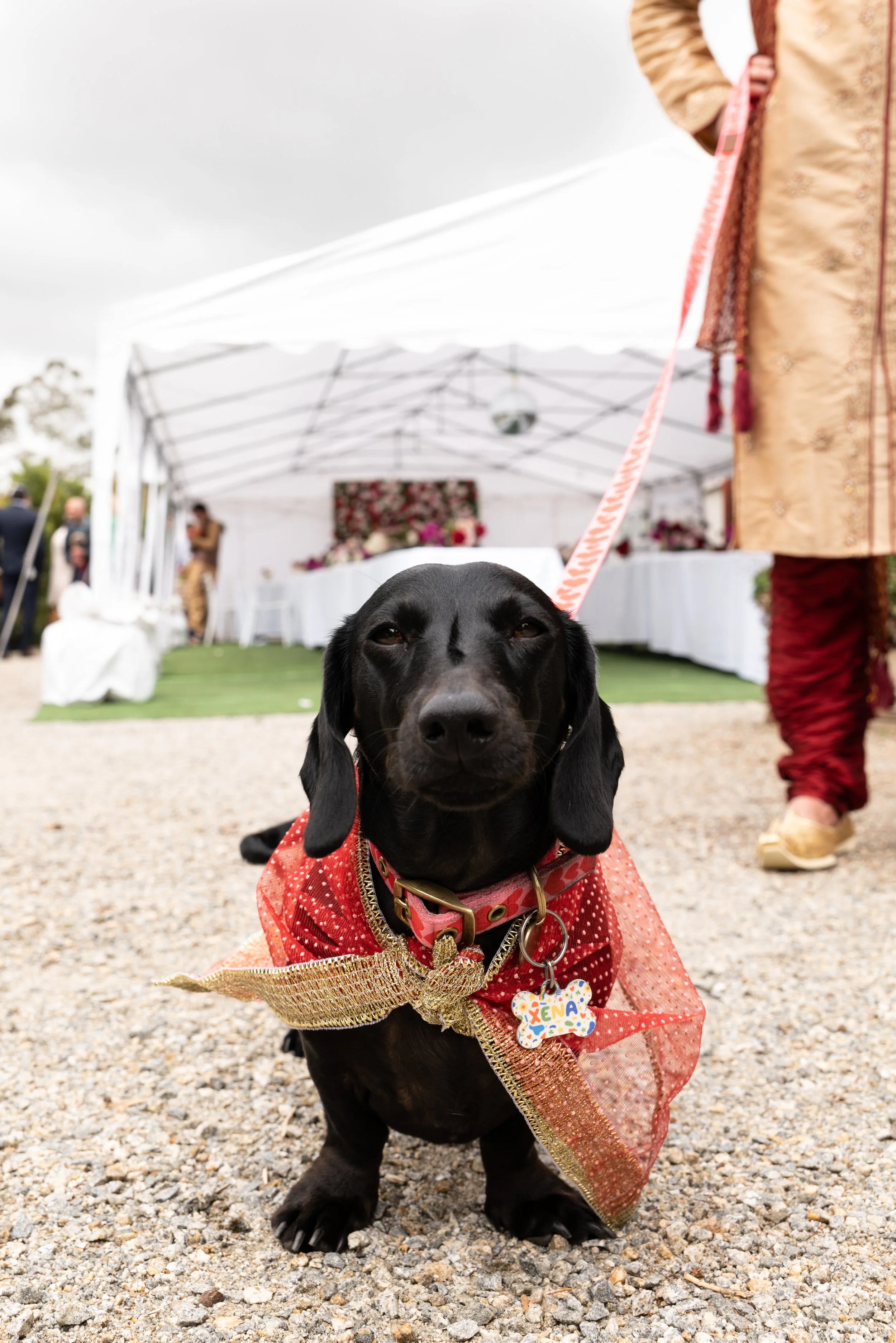 George and Shiv web-37.jpg