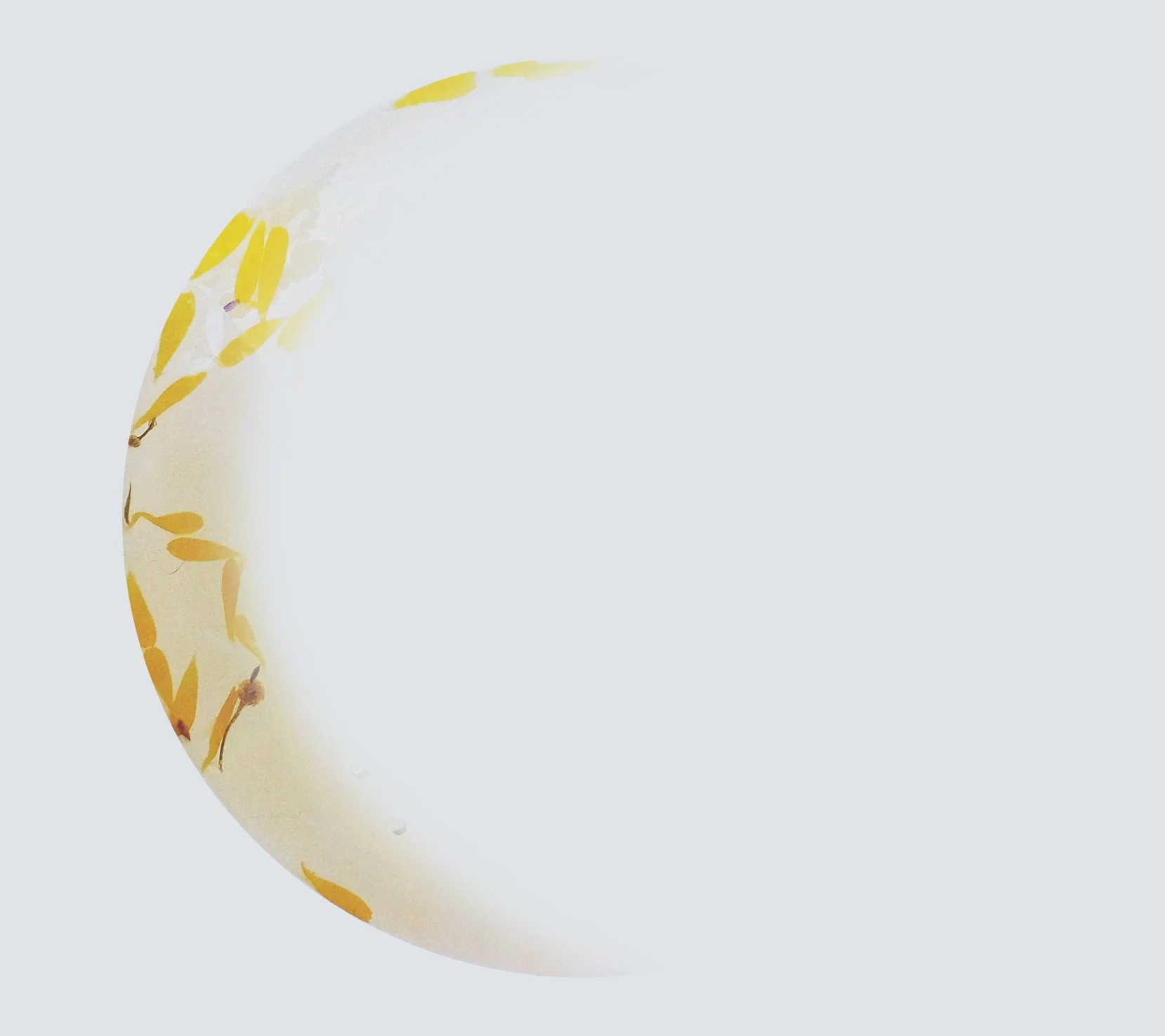 front inside right.jpg