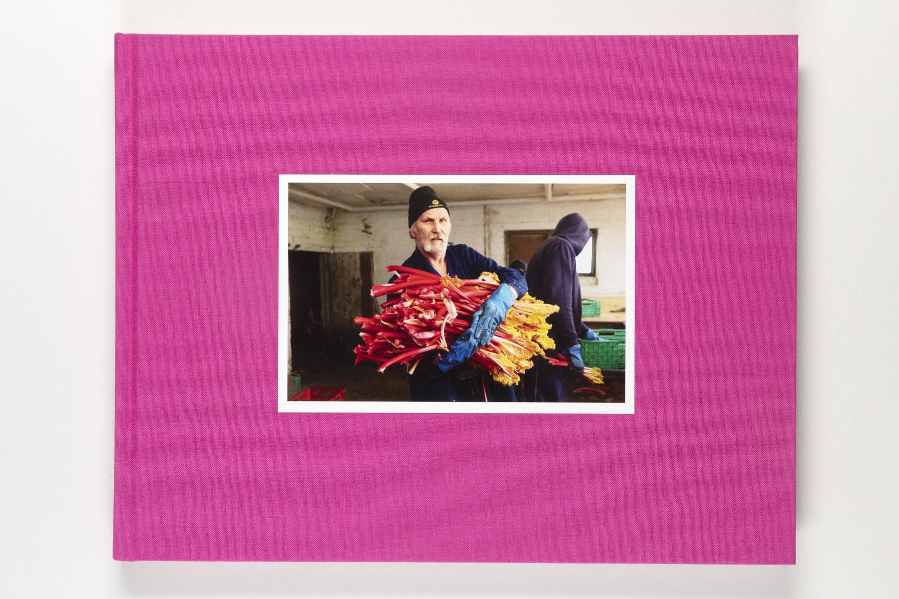 rhubarb triangle_Martin Parr.jpg