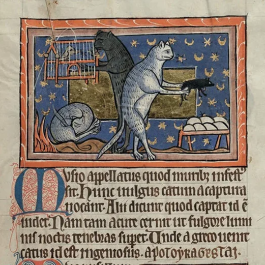 Cats-in-Medieval-Manuscripts4_700x.png