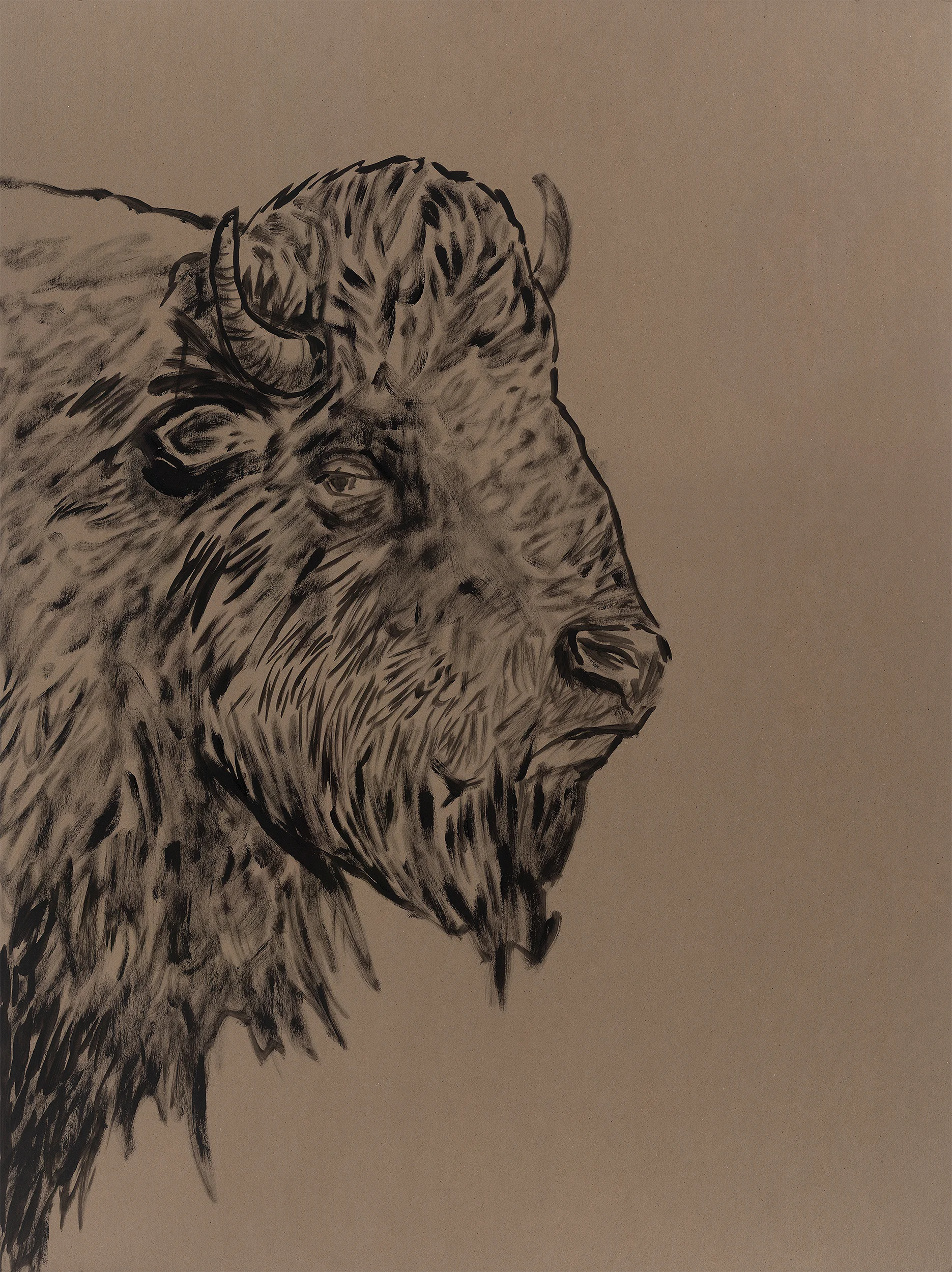 Dave Eggers, Untitled (Bison) , 2015. 36" x 24" Acrylic on chipboard