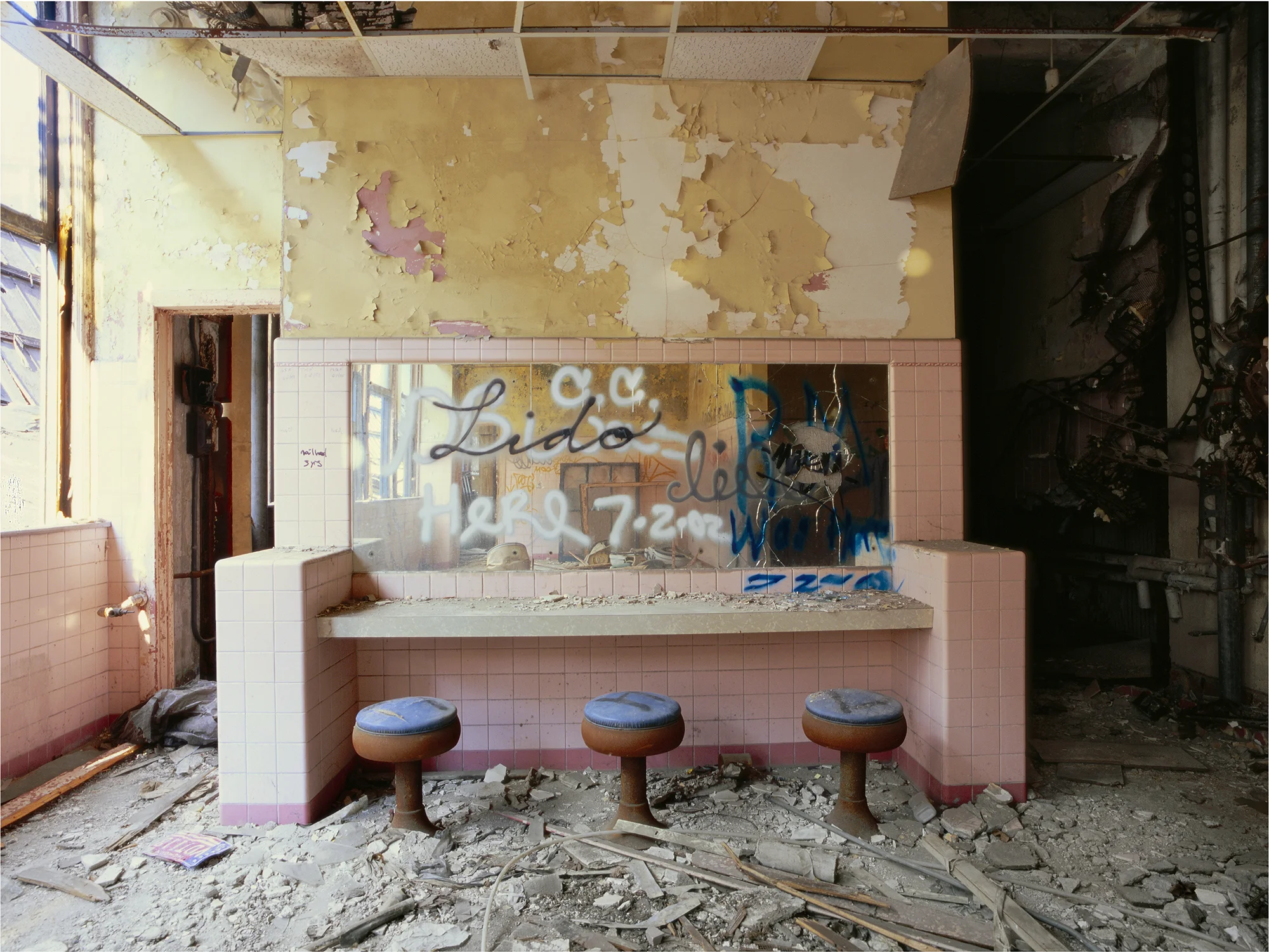 Packard_Plant(Lido)_18x13.5_Final.jpg