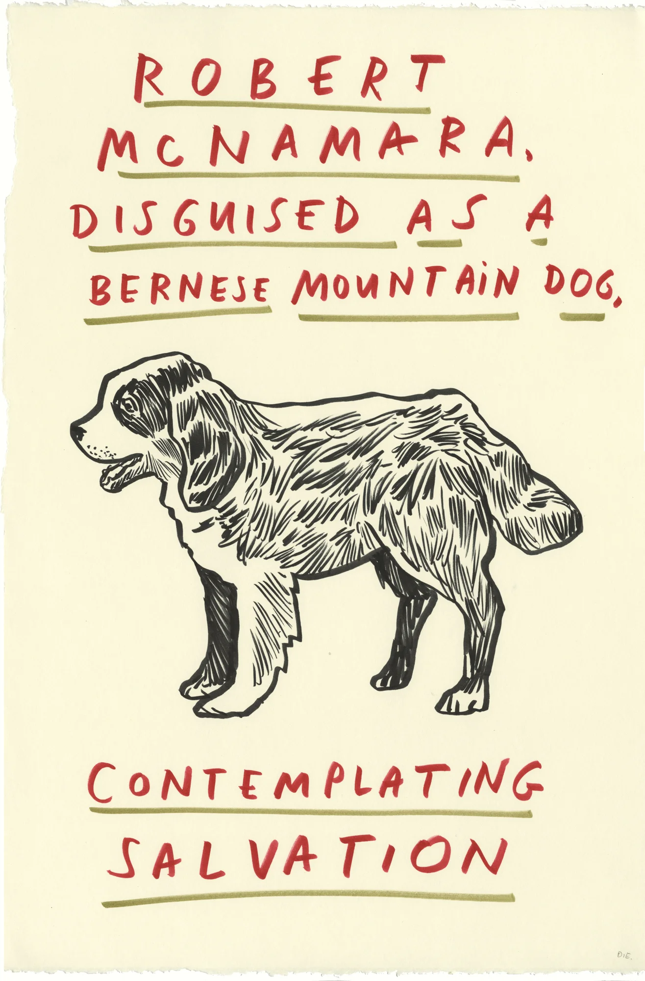 Eggers-robert-mcnama-disguised-as-a-bernese-mountain-dog.jpg