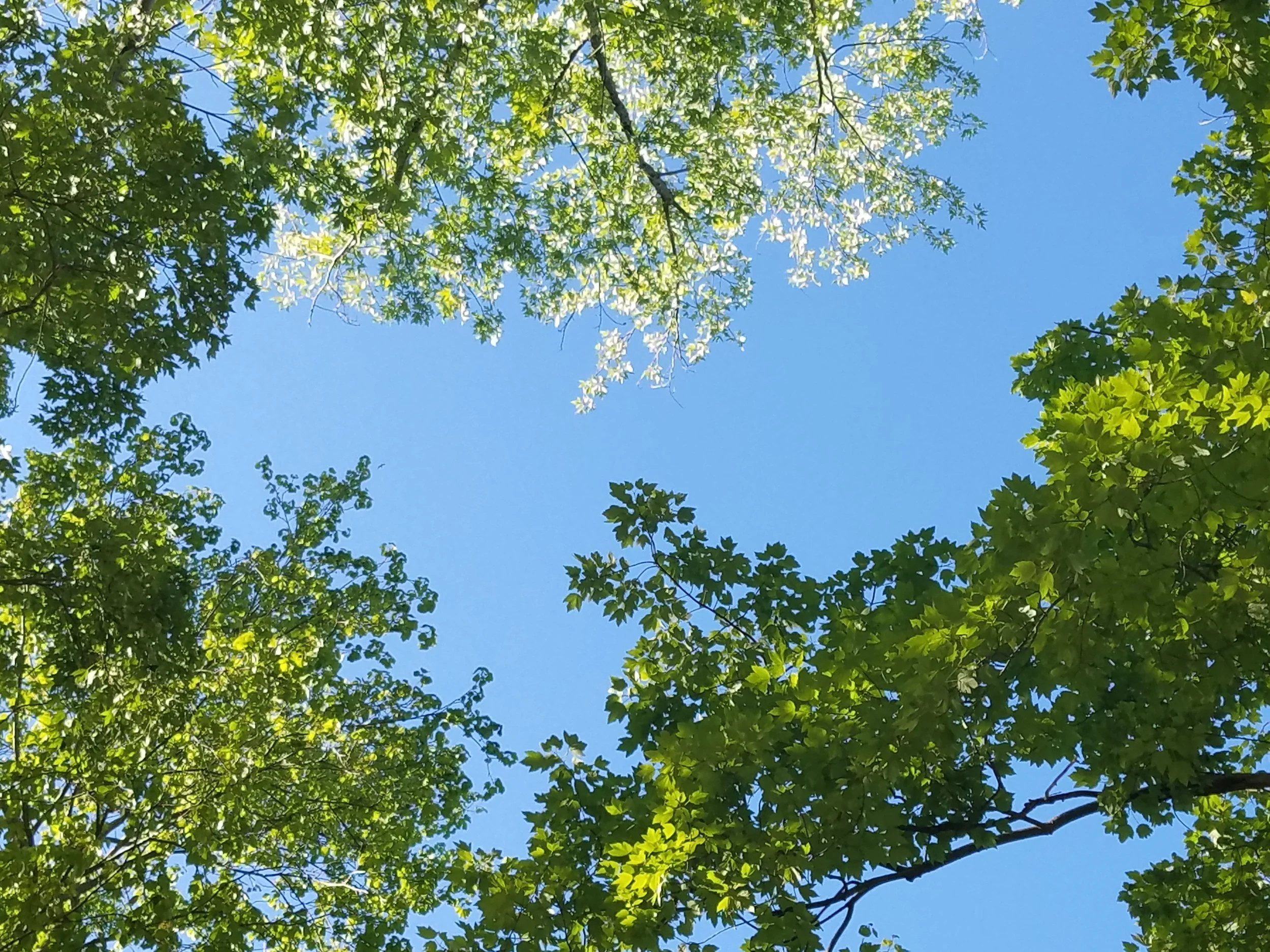 20170513_180938.jpg