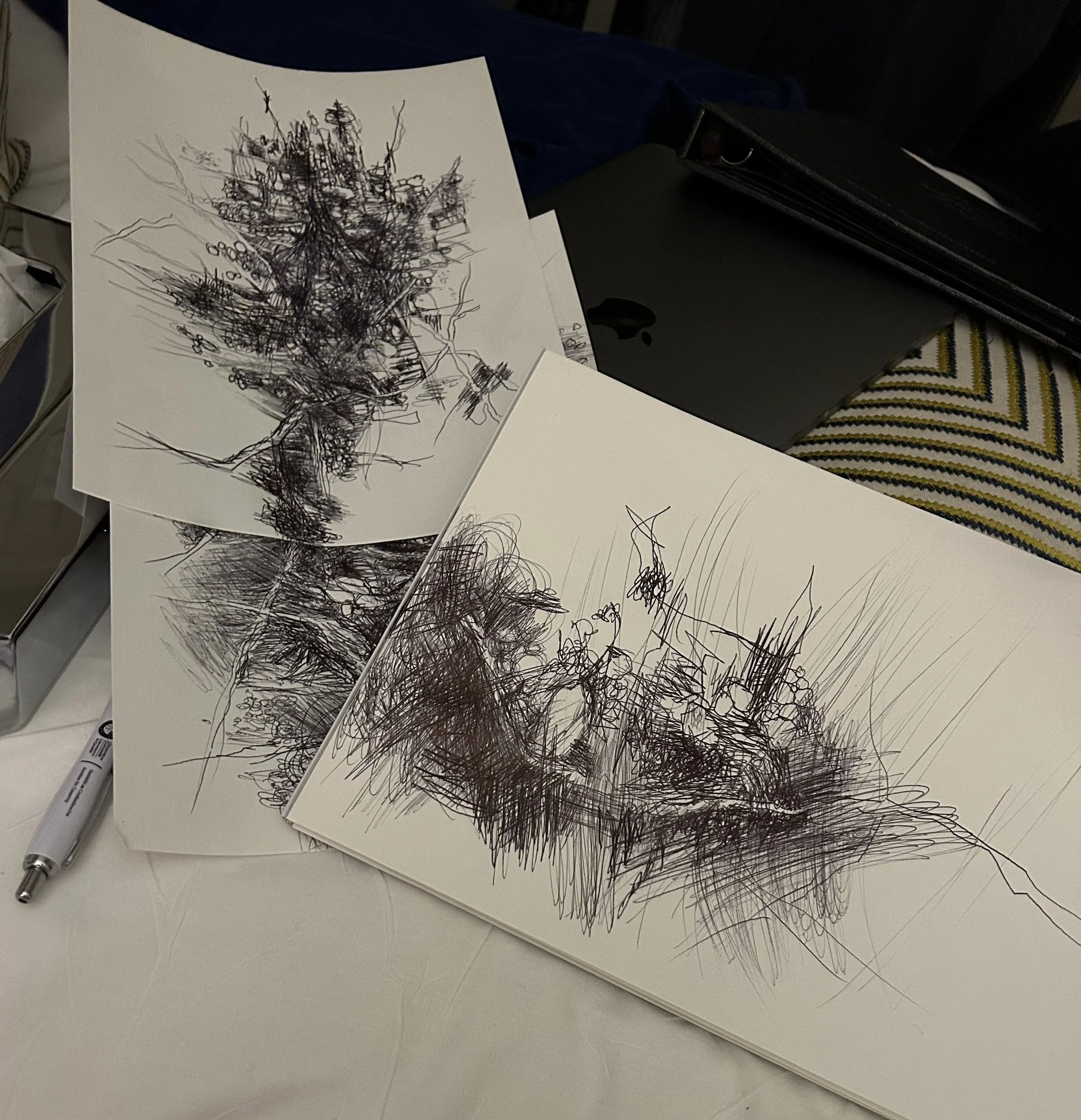 Burren drawings (on residency)